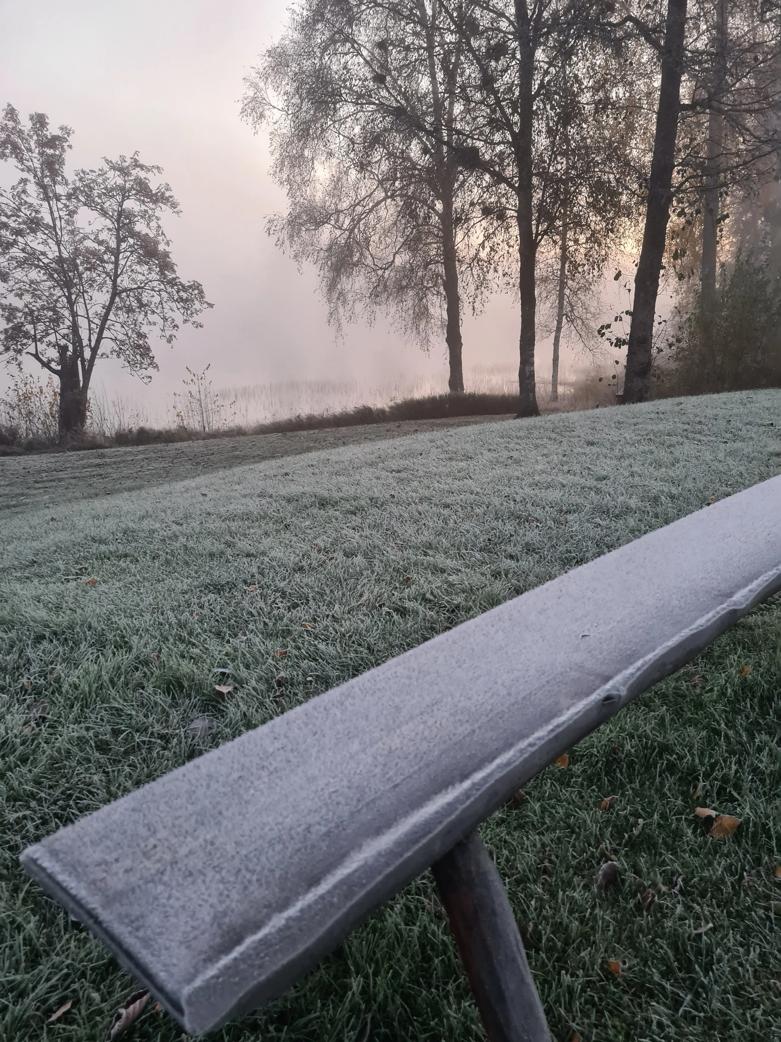 rim på haavard-benk.jpg