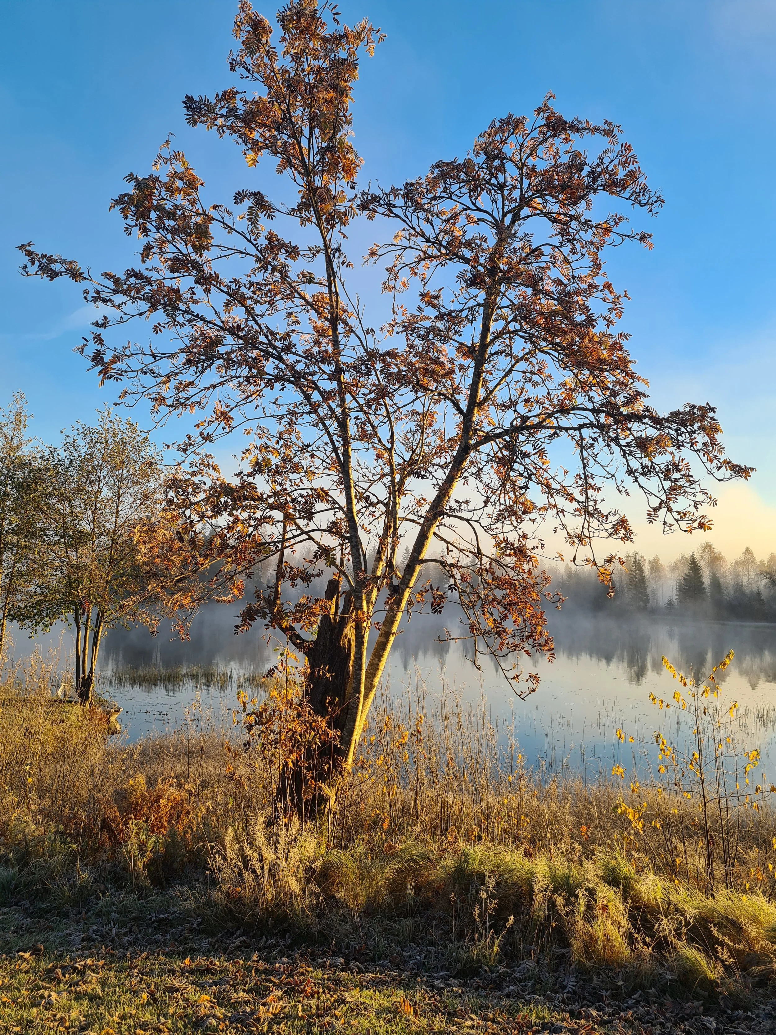 Kornsjø i oktober.jpg