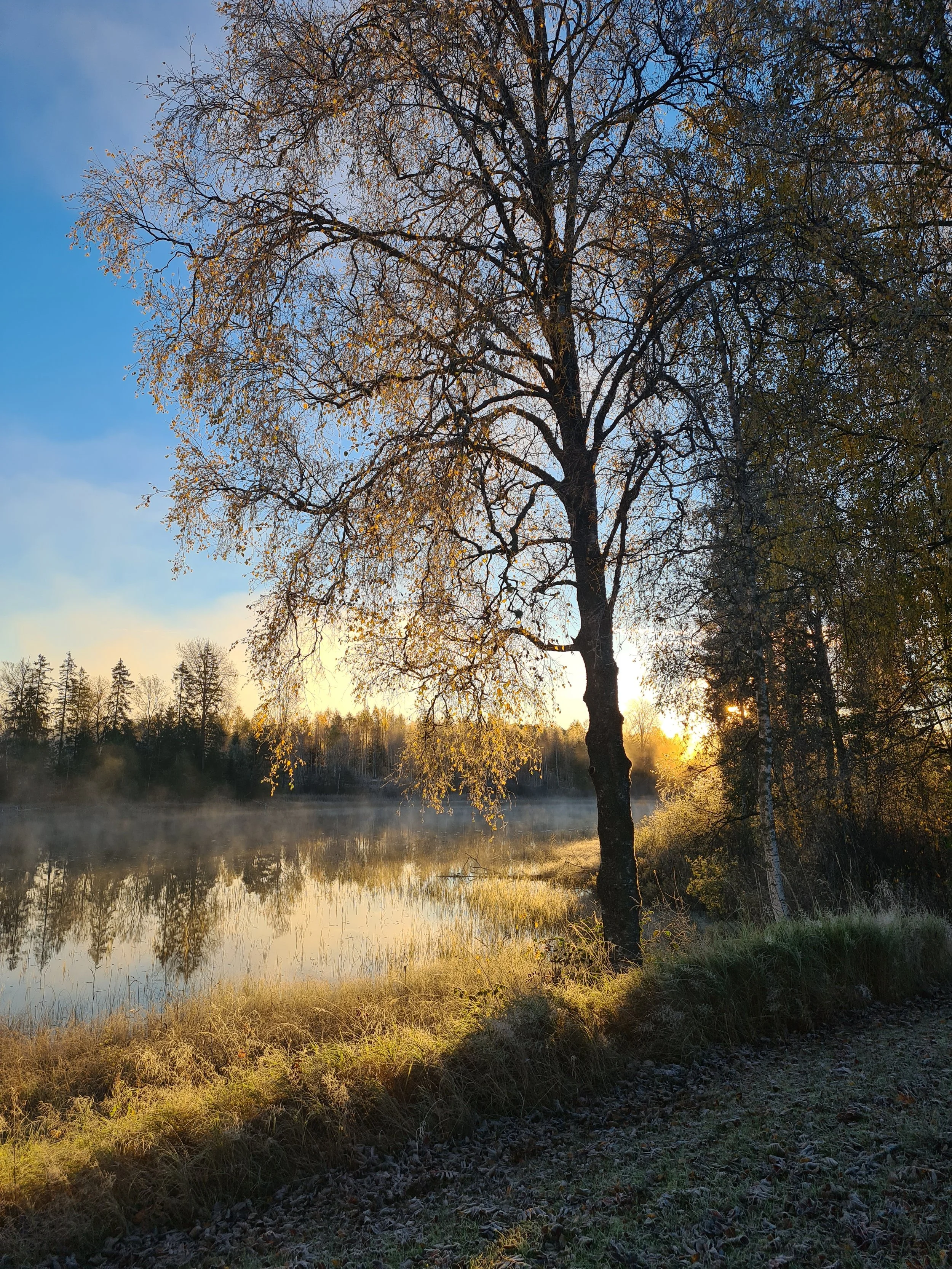 morgenstemning i oktober.jpg
