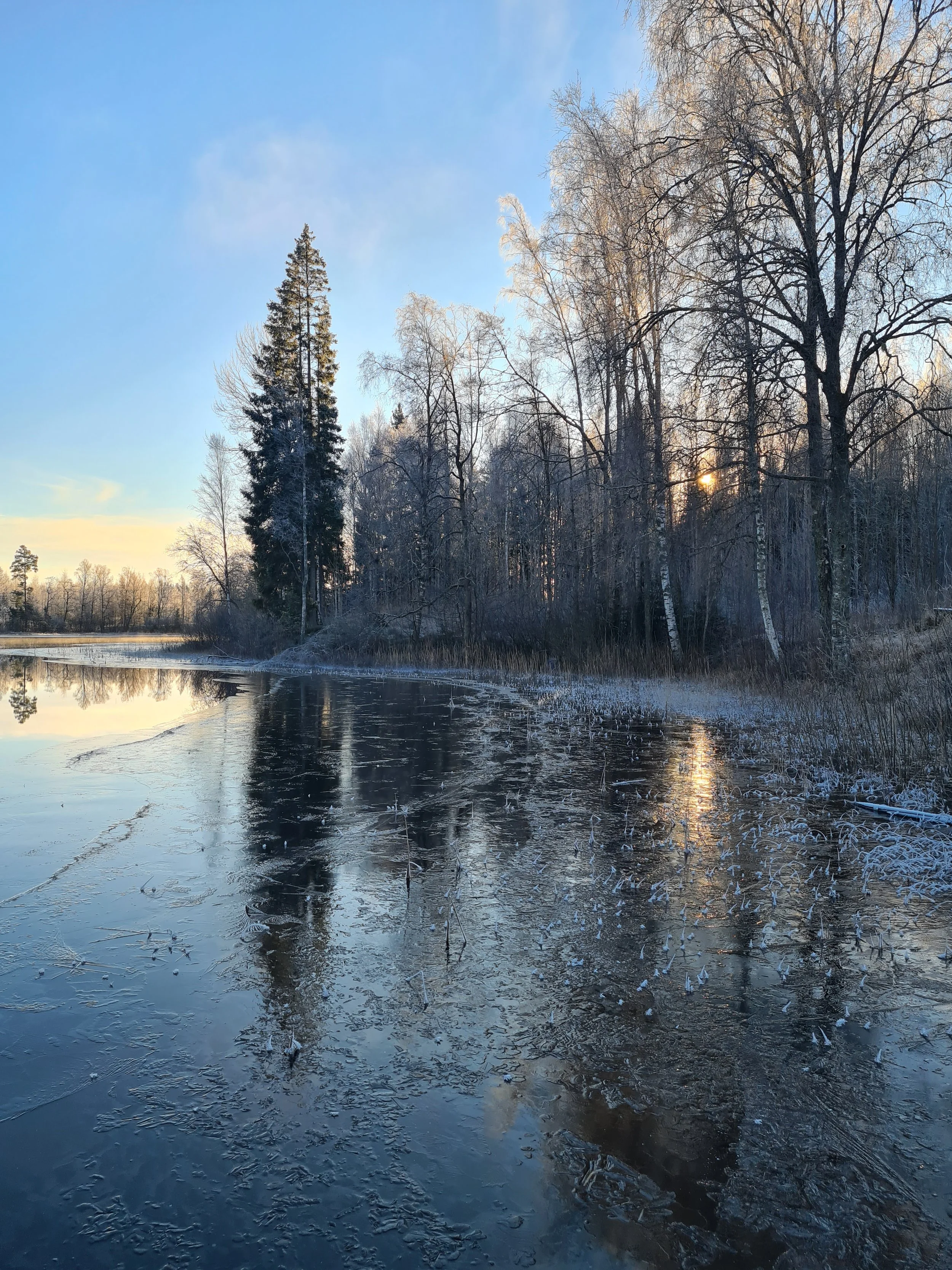 morgenstemning i november.jpg