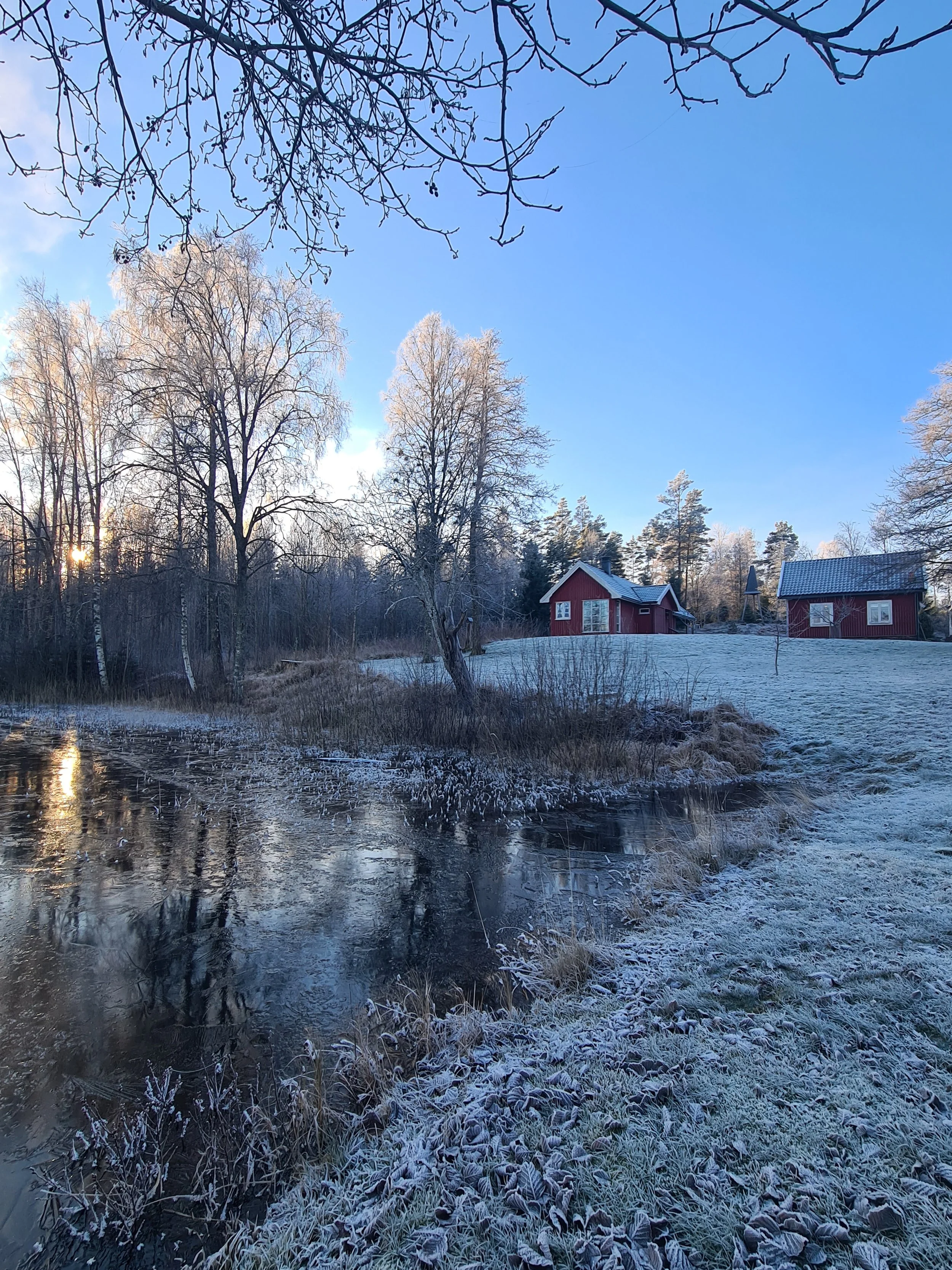 Vintervær på Tomasgården.jpg