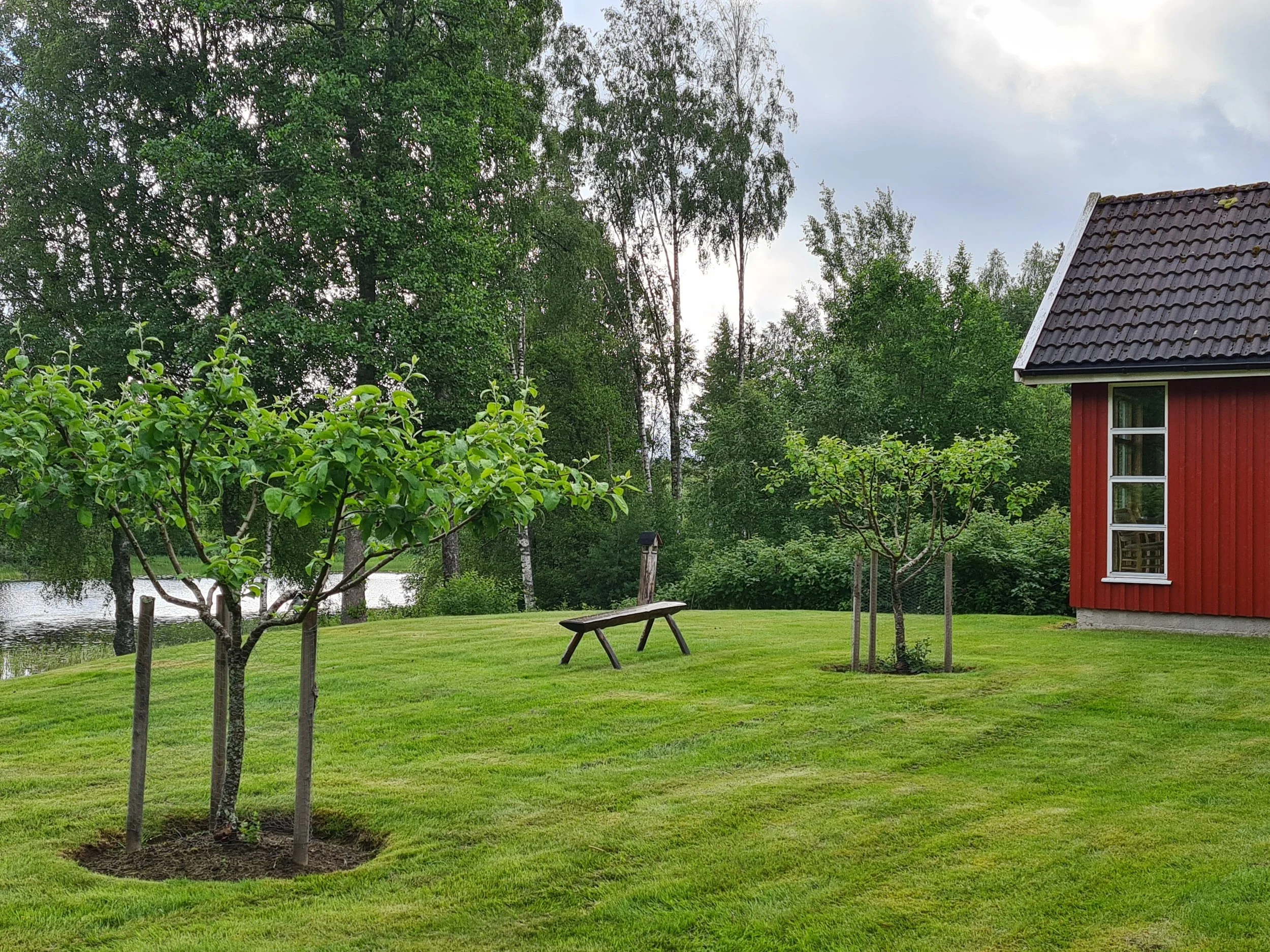 Hagen og epletrærne.jpg