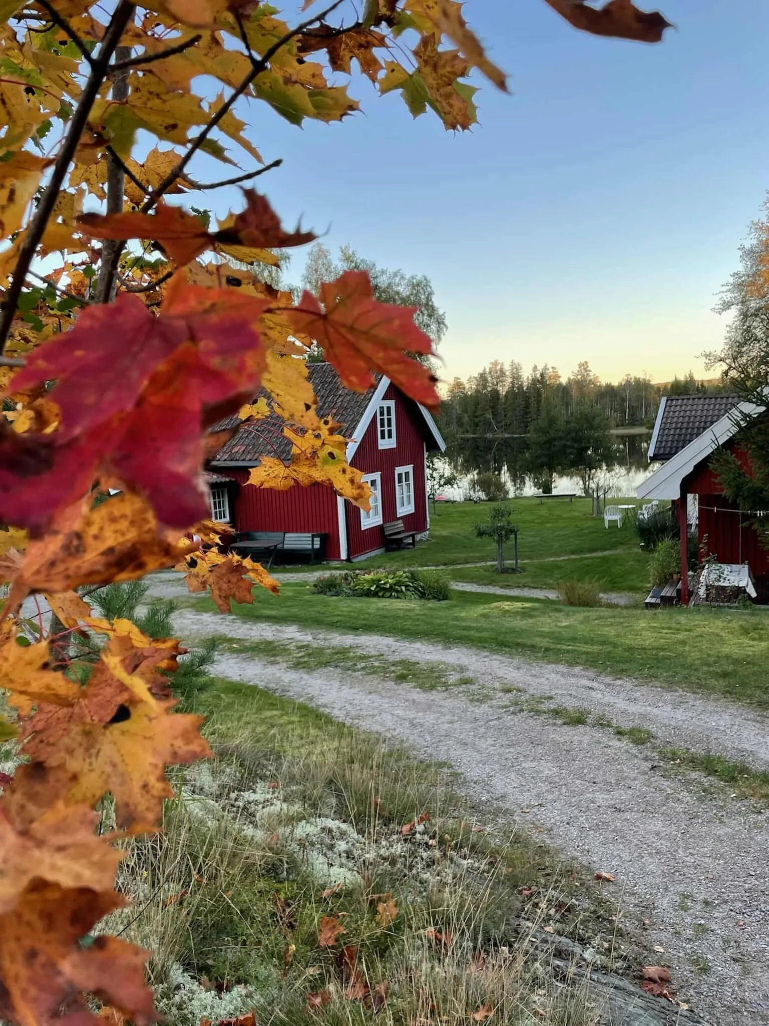 Høst på Tomasgården.jpeg