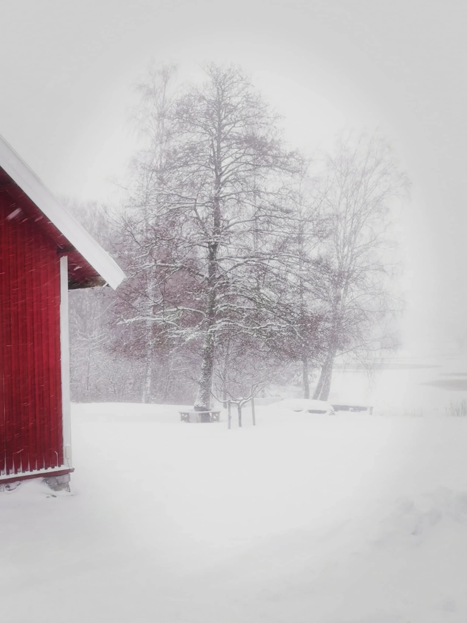 Snøvær på Tomasgården.jpeg