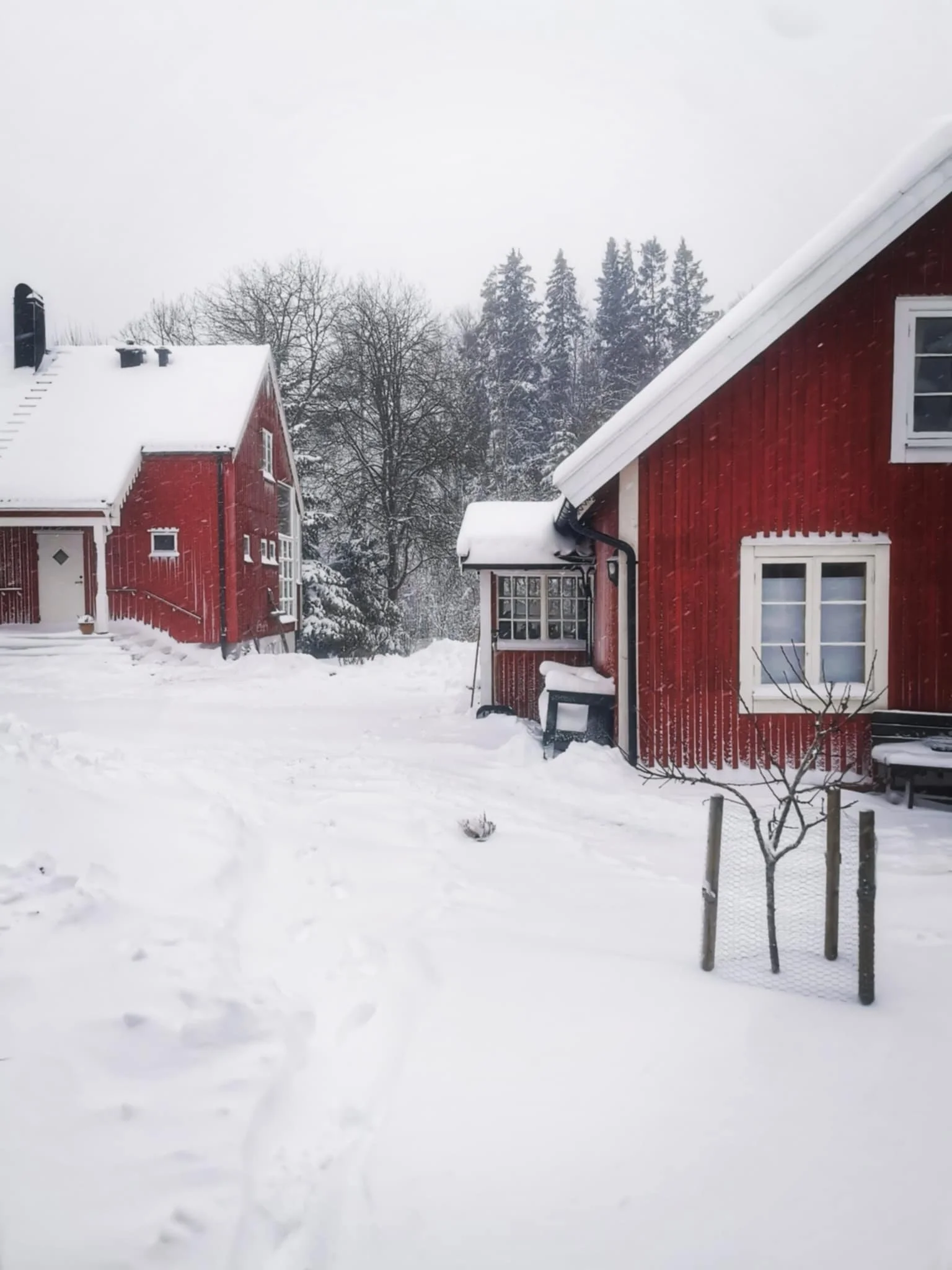 Vinterlandskap på Tomasgården.jpeg