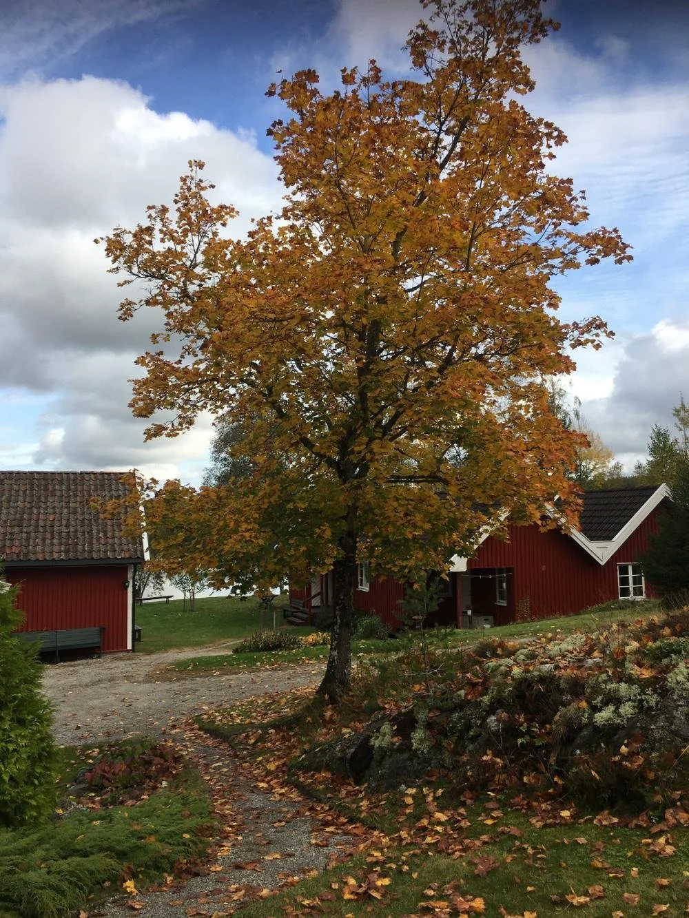 Ignatiansk retreat (6 ledige plasser)