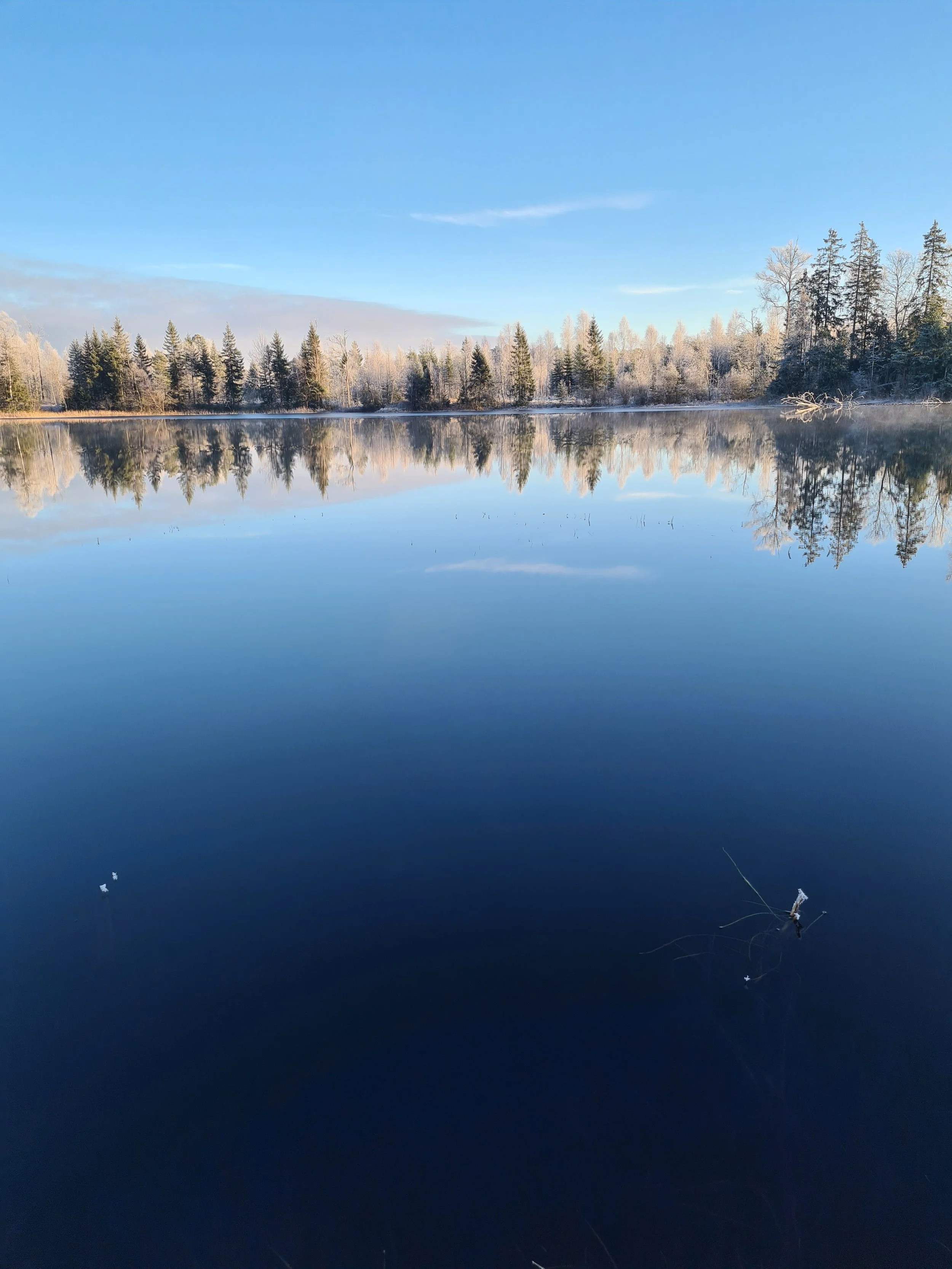Et rolig vannspeil med en refleksjon av trær og en klar blå himmel med noen spredte skyer.