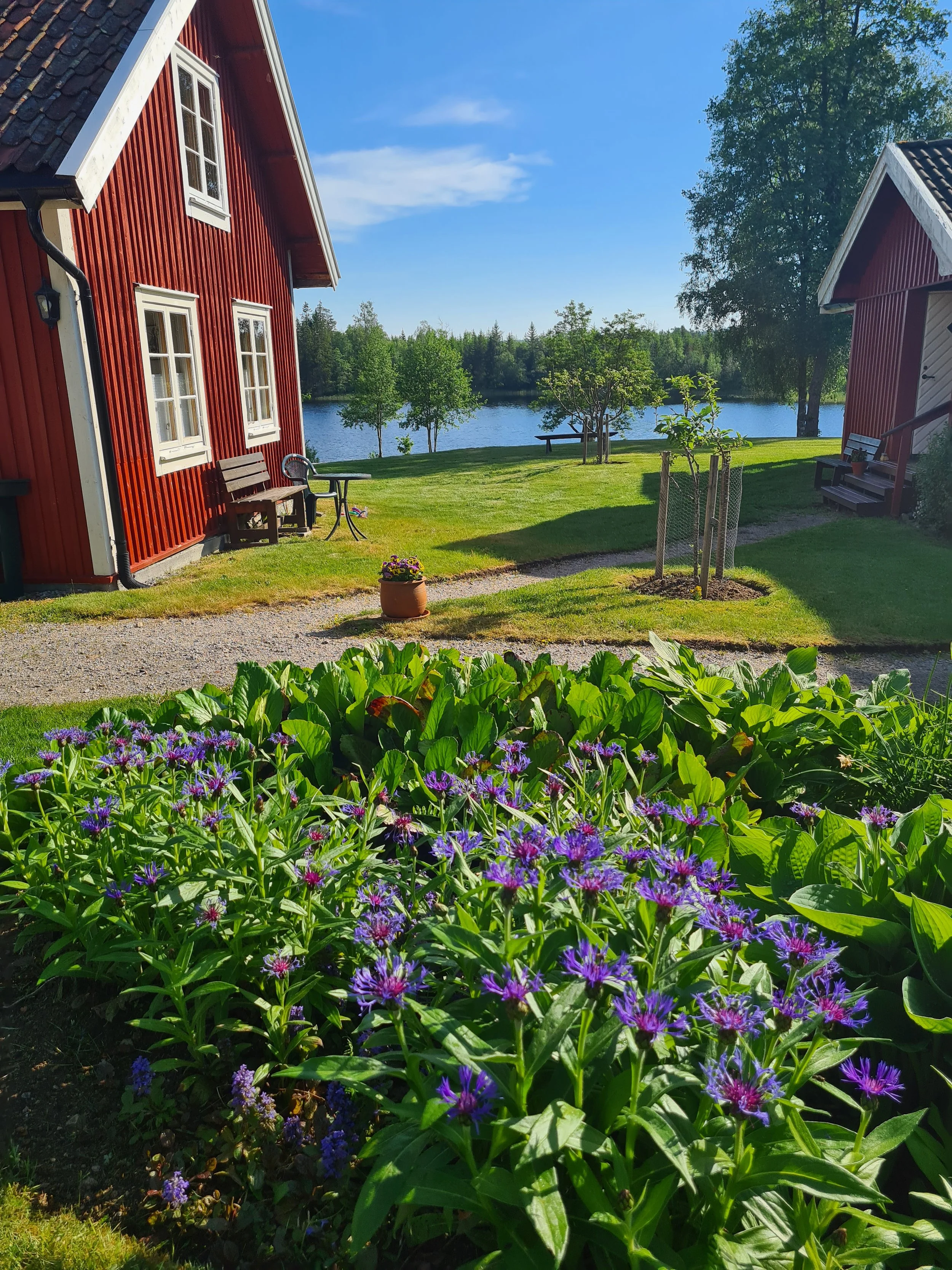 Hagelund fra en hage med grønne planter og lilla blomster foran. To røde hus med hvite vinduer, en benk, et trebord og et lite tre er i bakgrunnen. Utsikt over en innsjø med trær langs bredden under en blå himmel med noen skyer.