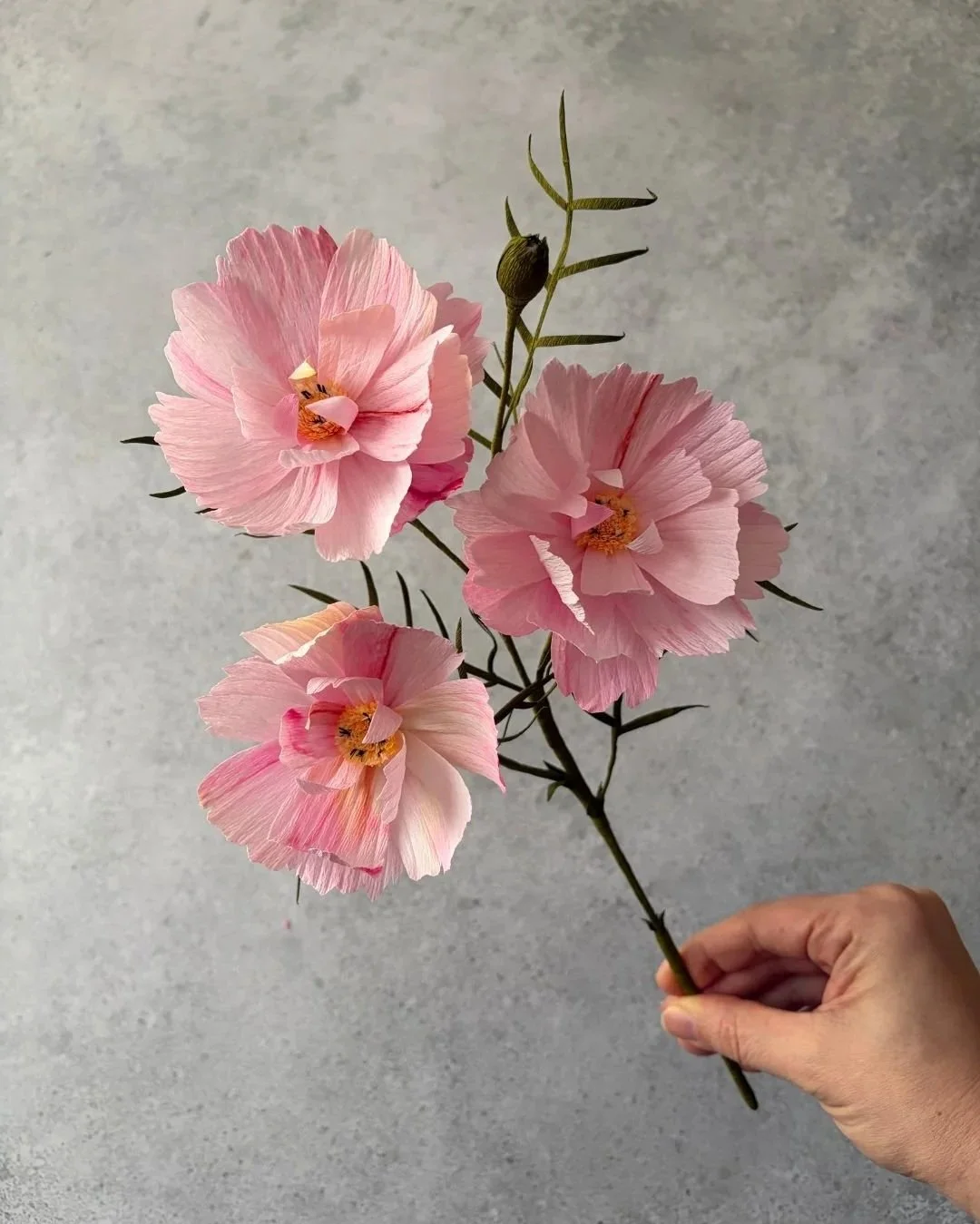 Cosmea / Schmuckkörbchen, zartrosa-weiß, 3 Blüten am Stiel - Papierblume, handgefertigt aus Krepppapier