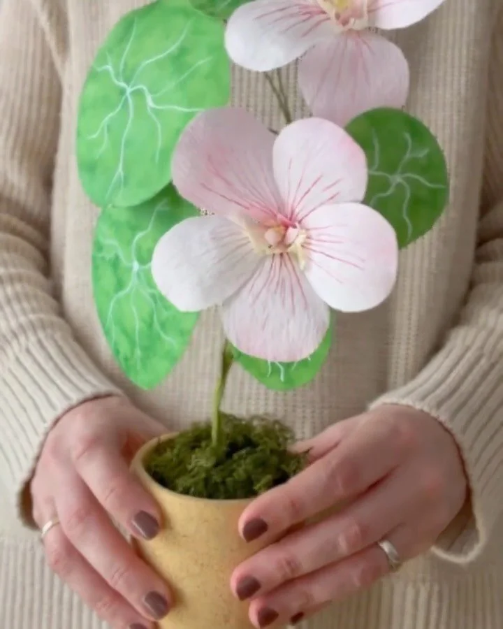 Heute werde ich 41. 

Wie 41 besondere Papierschichten, gestaltet mit Geduld und Hingabe. Nicht jede glatt. Nicht jede perfekt geschnitten. Manche geknickt. Manche neu angesetzt. Manche &uuml;berraschend stark. Aber jede einzelne hat mich geformt.

M