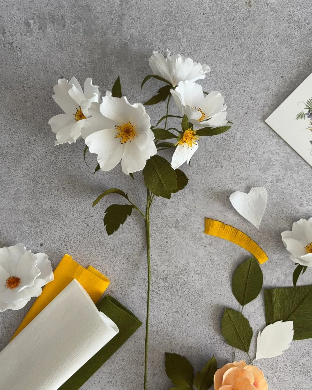 diy-set-blume-aus-krepppapier (2).jpg