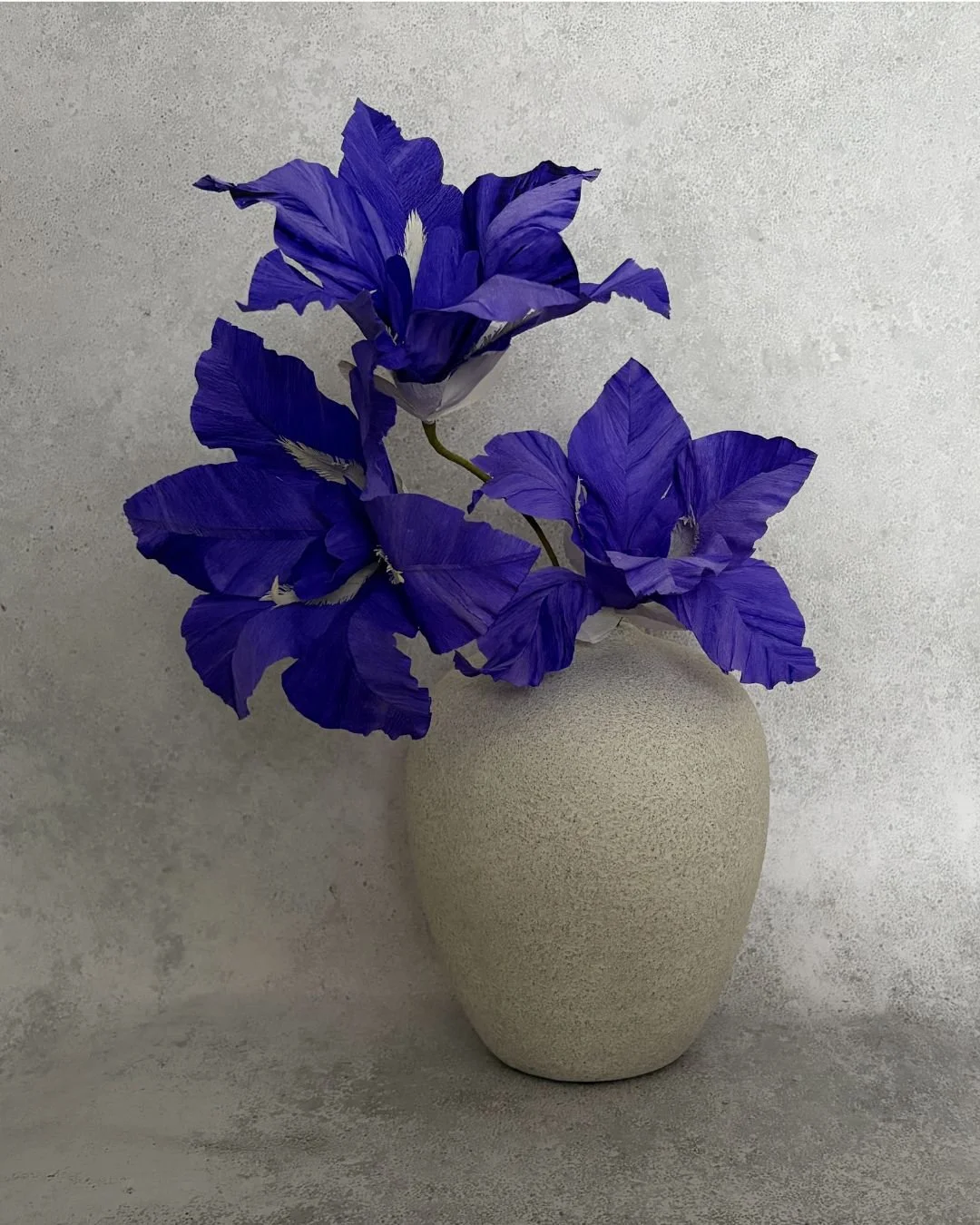 5-set_diy_iris.jpg