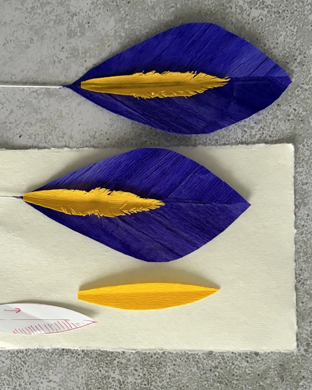 3-set_diy_iris.jpg