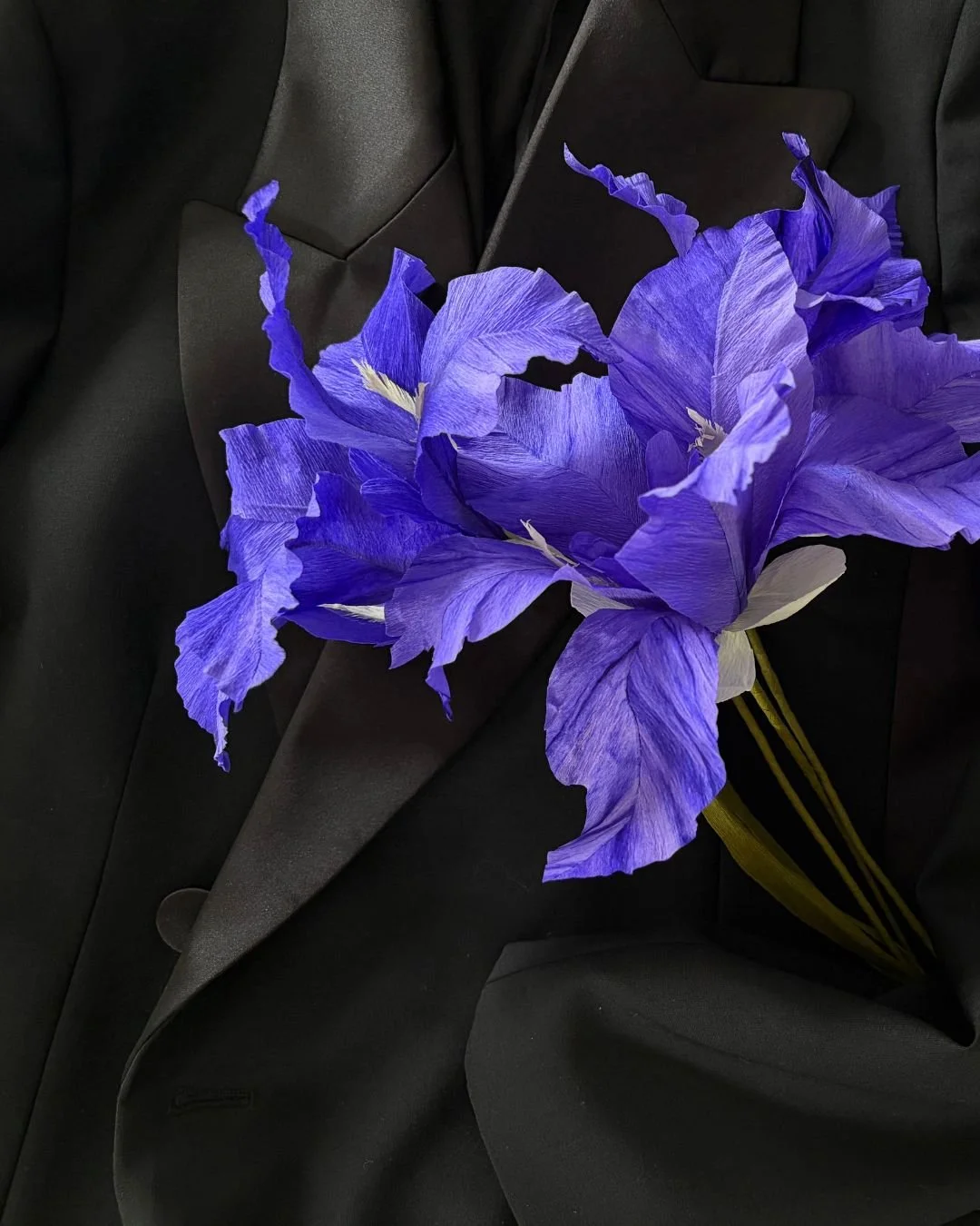 iris.jpg