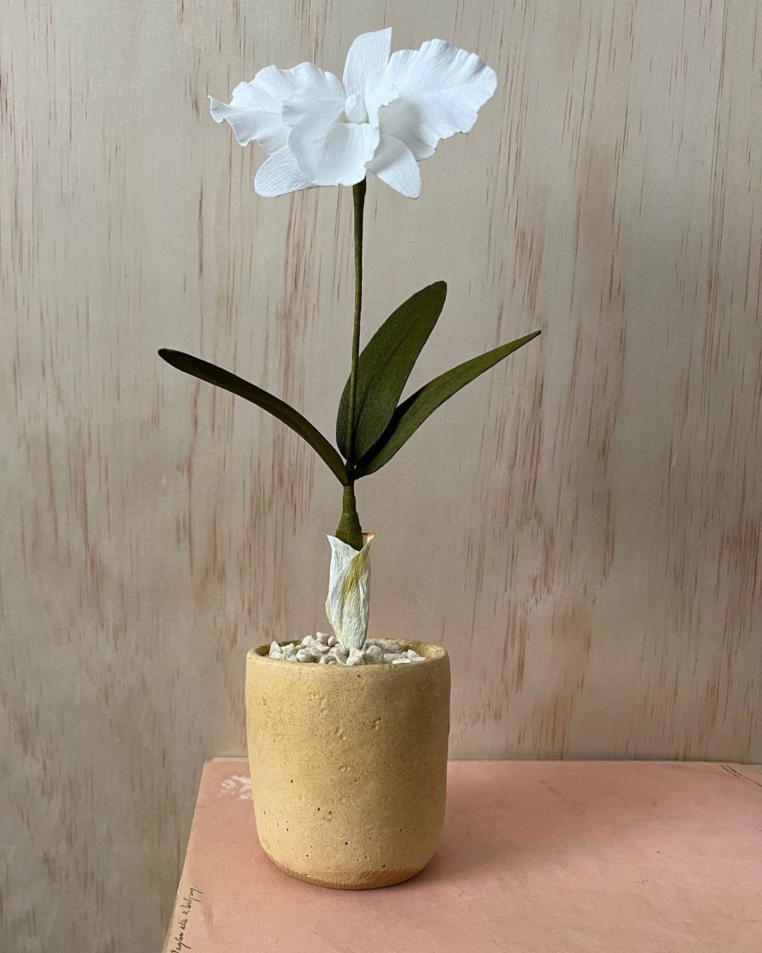 Orchidee, weiß - Papierblume, handgefertigt aus Krepppapier, im Tontopf