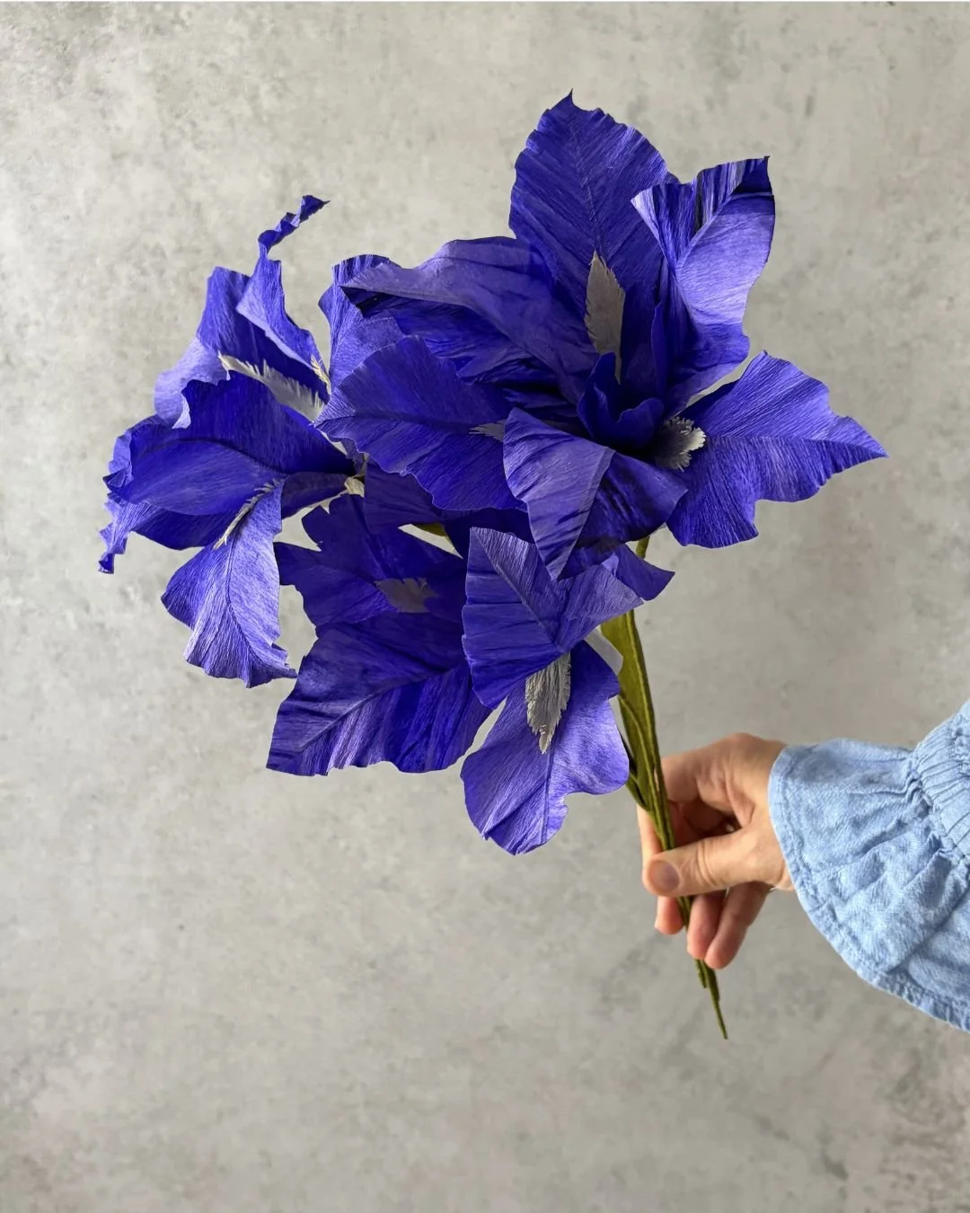 2-set_diy_iris.jpg