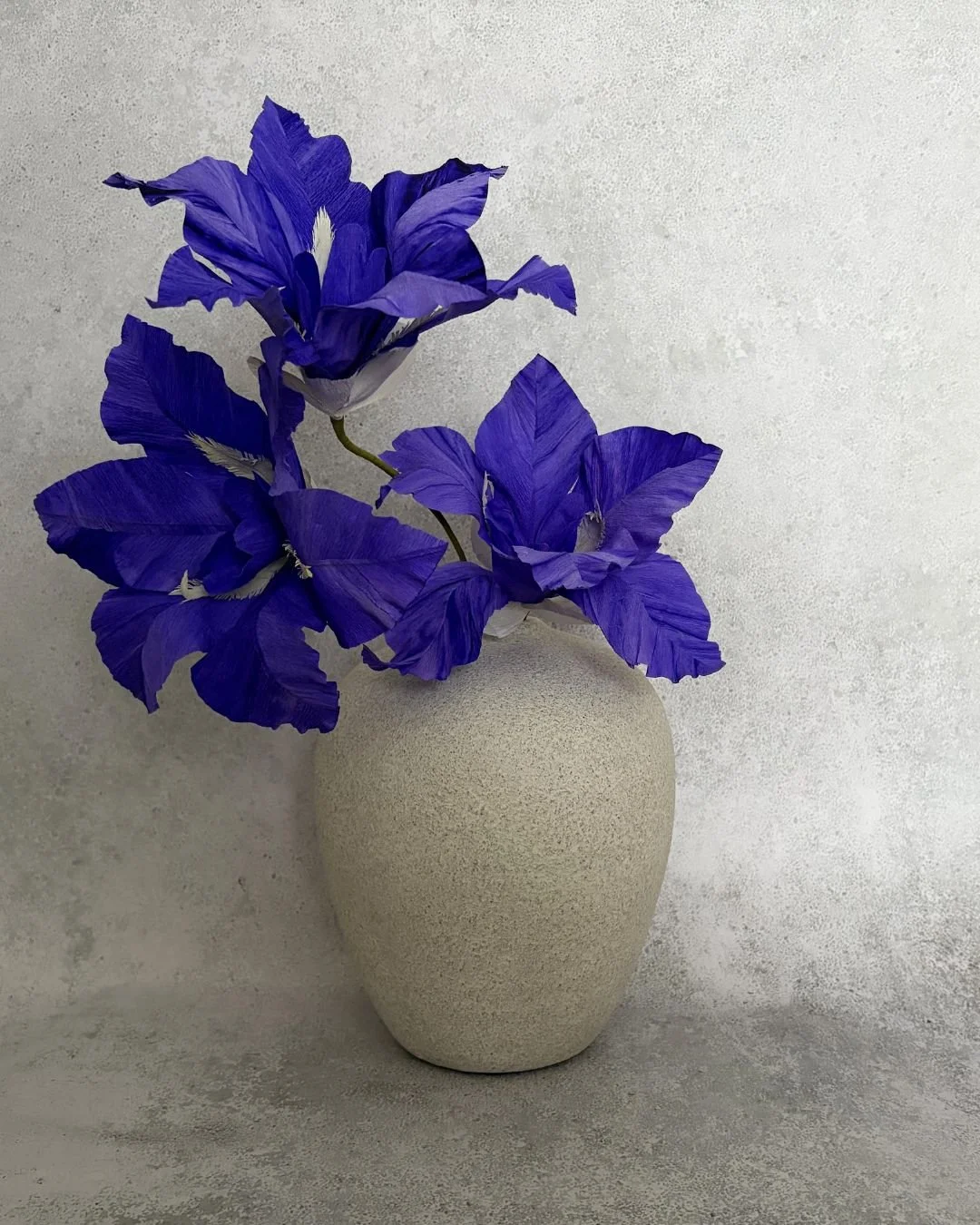 iris (2).jpg