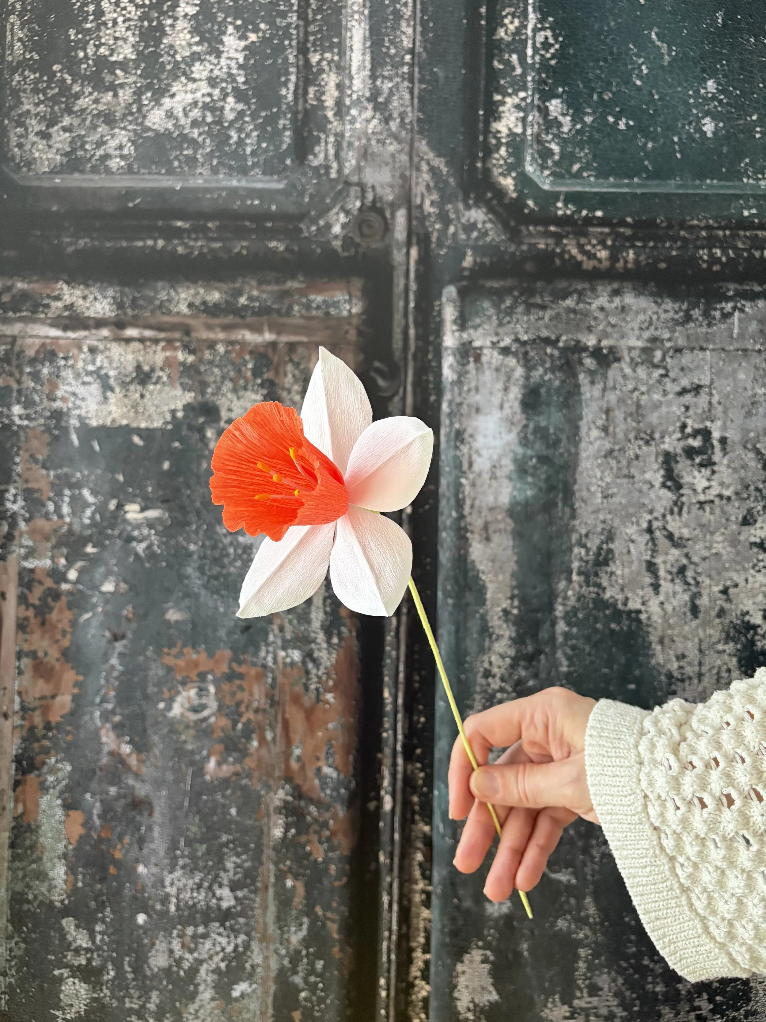 Eine Hand hält eine künstliche Blume vor einem alten, schwarzen Metalltor.