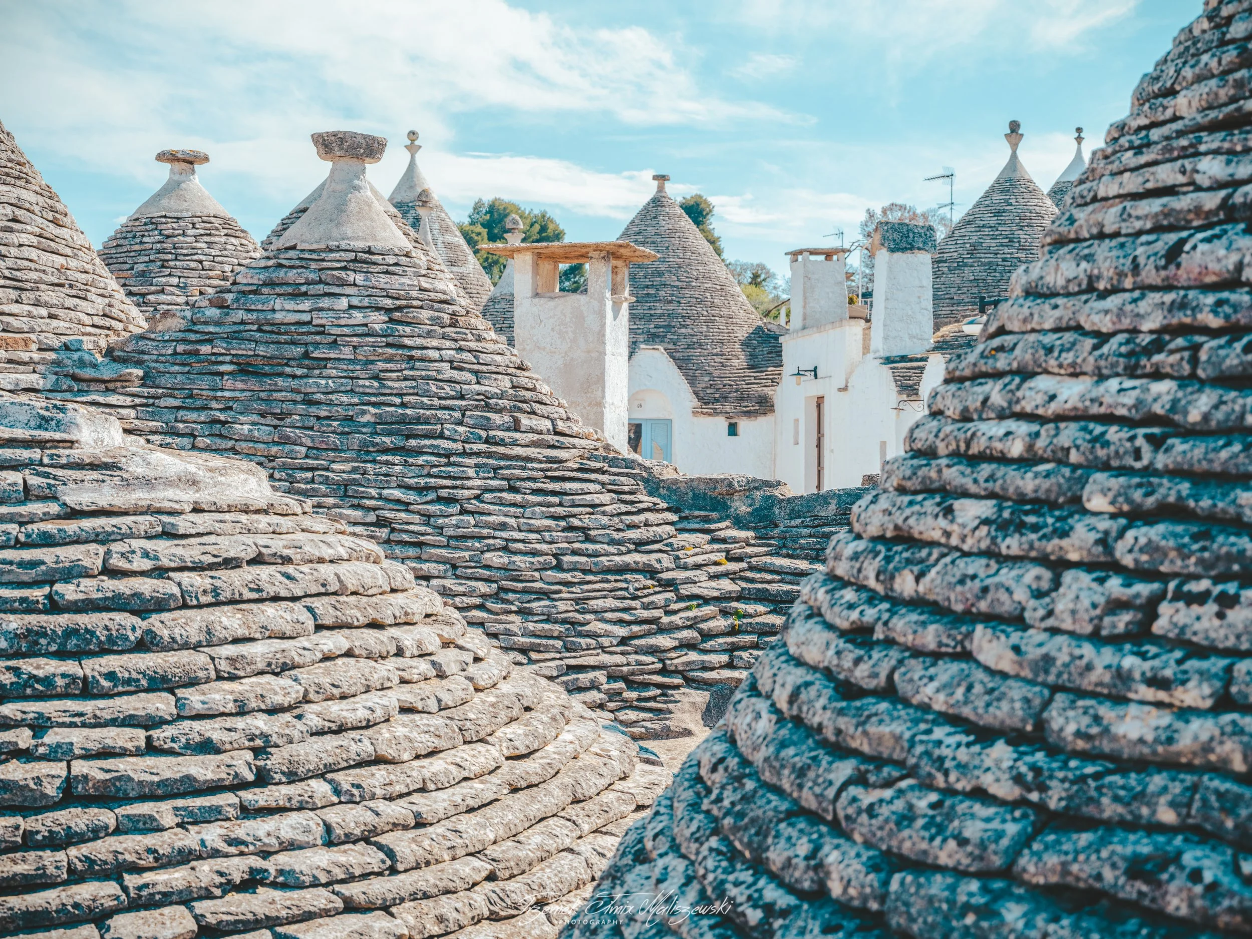 Wsród trulli