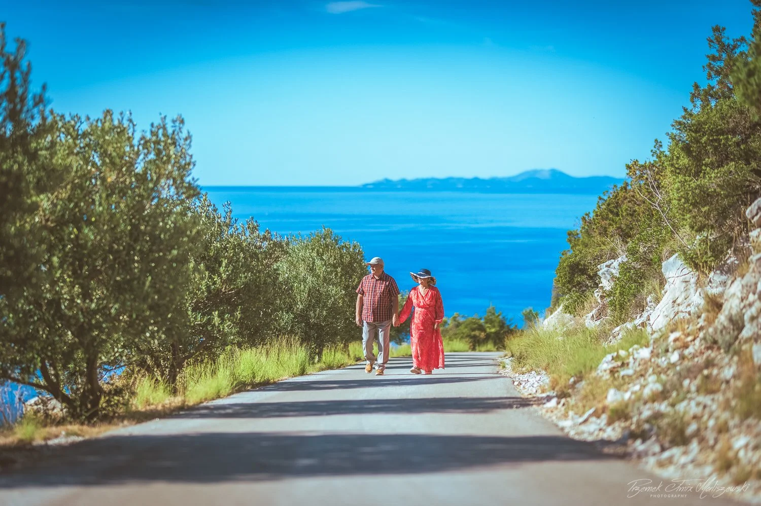 An elderly couple walking hand in hand on a scenic coastal road with greenery on either side and the ocean in the background.