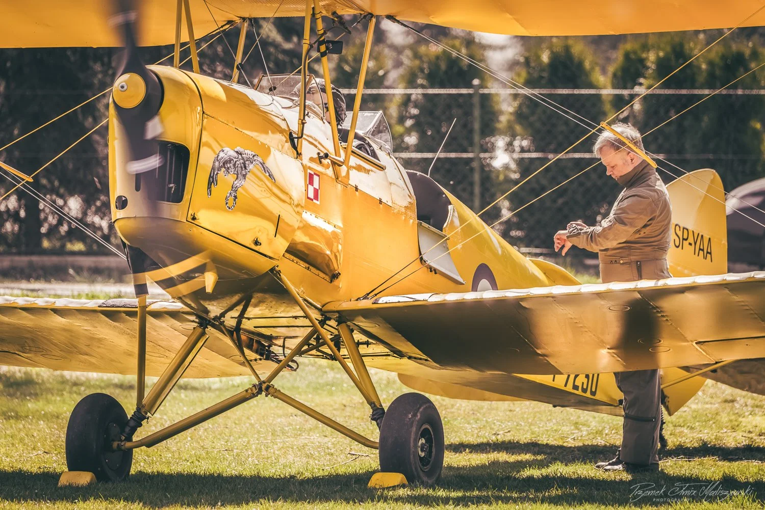 A bright yellow vintage biplane with a painted panther on its nose parked on a grassy field, with a man inspecting or preparing it.
