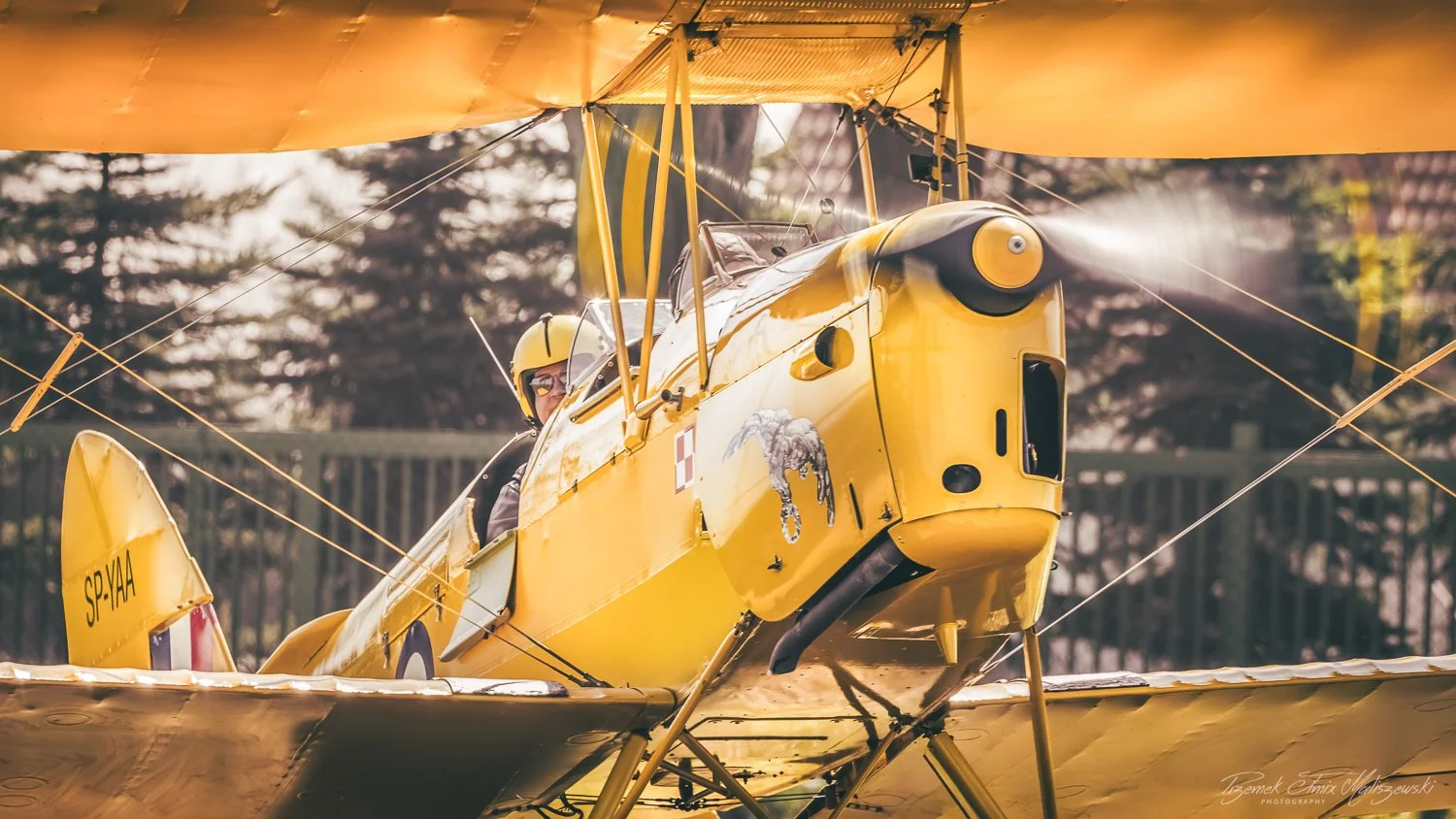 Bright yellow vintage biplane with a pilot wearing a helmet, parked on the ground with trees and a fence in the background.