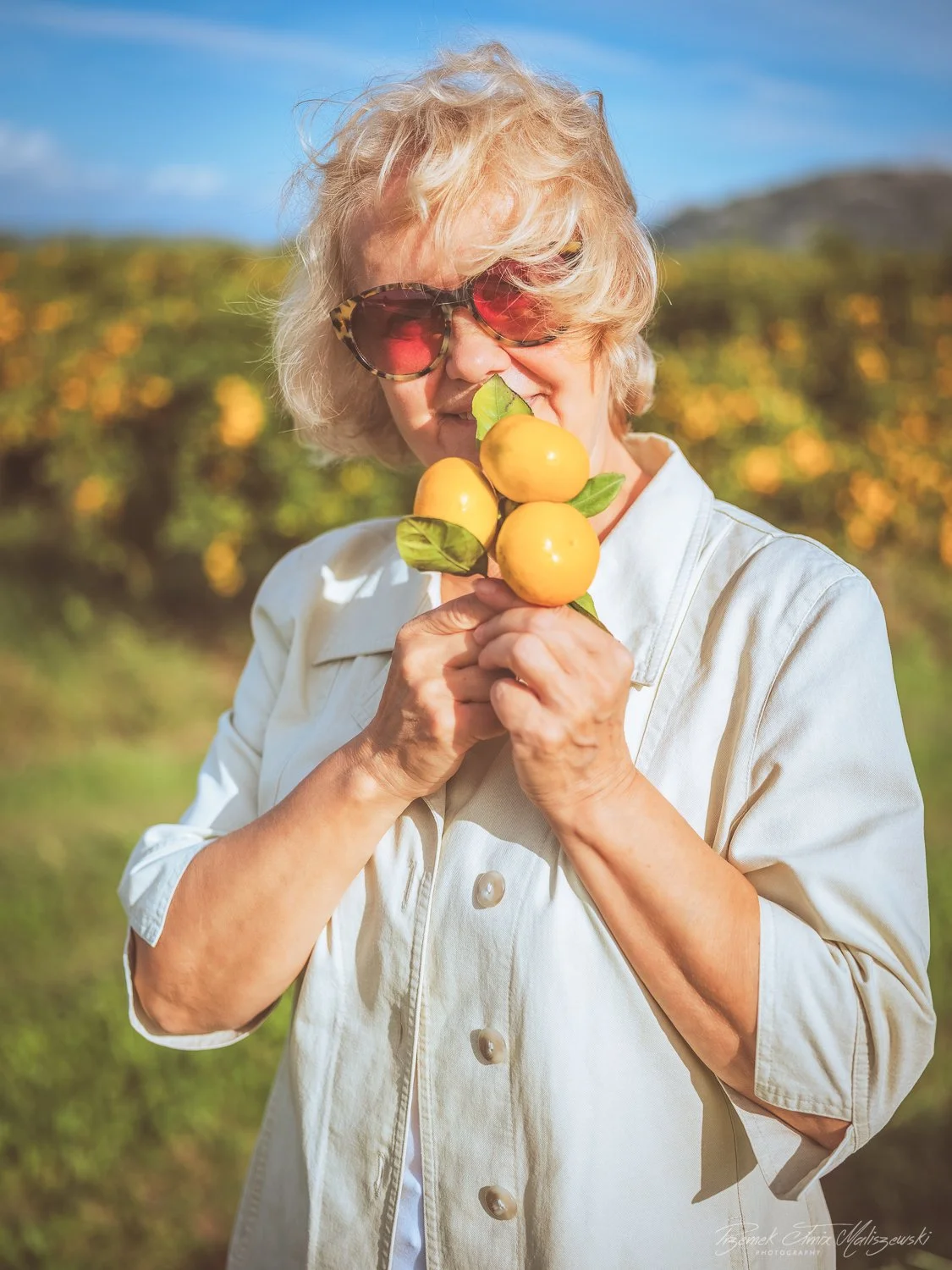 A woman wearing sunglasses and a white shirt holding a branch with three yellow oranges and green leaves in an orchard.
