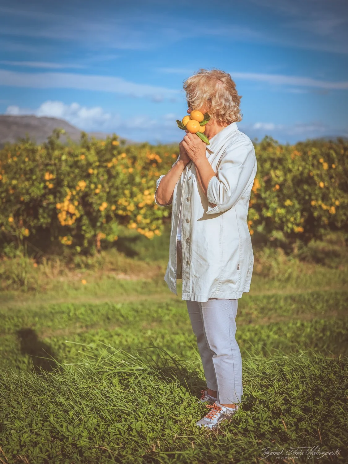 An elderly woman holding a bunch of lemons close to her face in a lemon orchard under a blue sky.