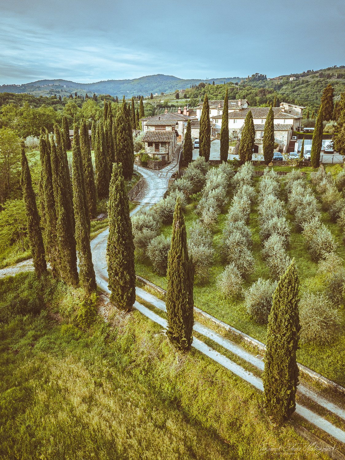 A scenic view of a countryside property with tall cypress trees lining a winding dirt road leading to a cluster of rustic houses, surrounded by rolling green hills and cultivated land.