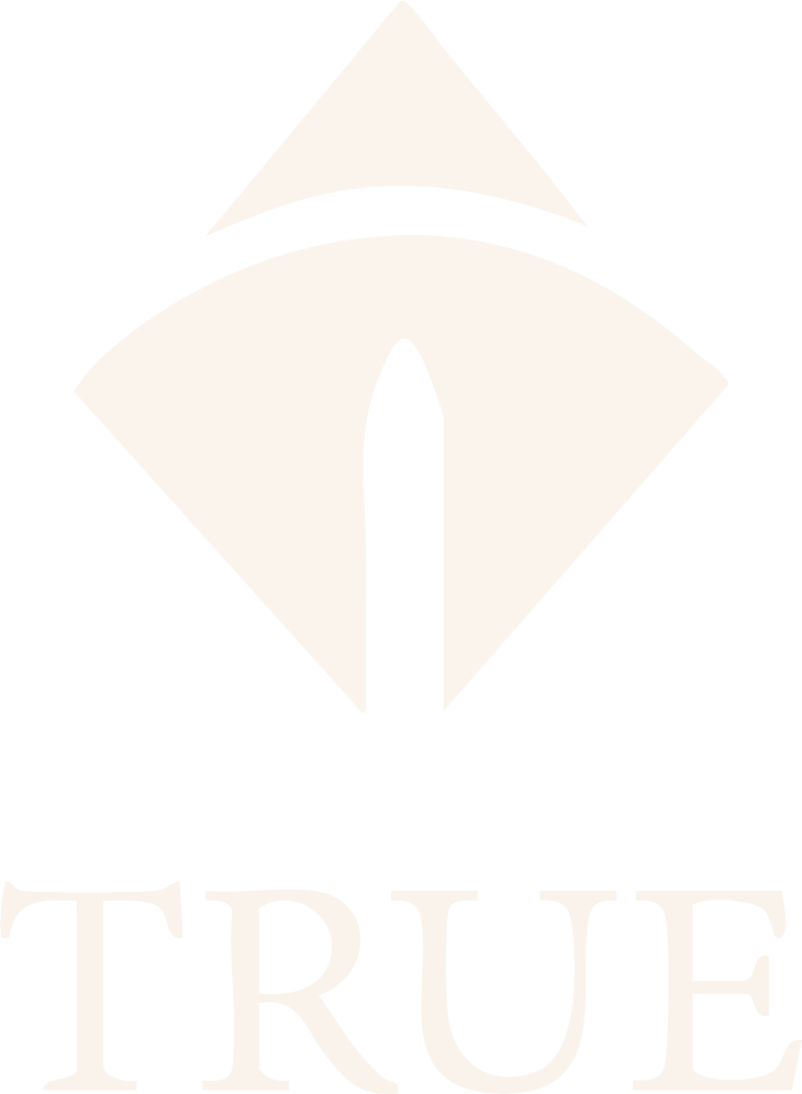 A logo featuring an abstract geometric icon above the word "TRUE" in capital letters.