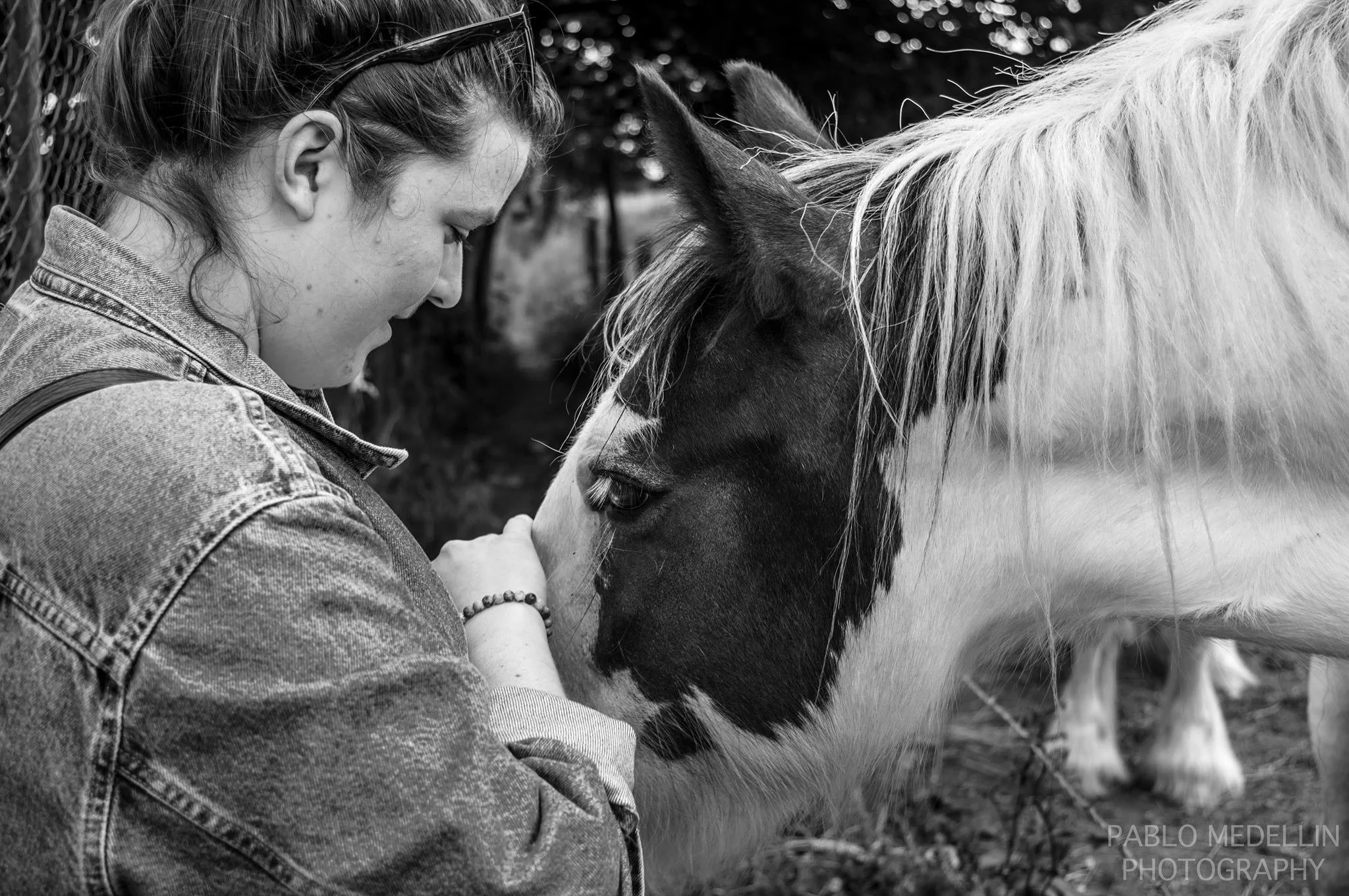 Experienced animal care and pet sitting in Seaford, Eastbourne, Lewes by Fiona’s Fauna & Flora. Reliable holiday pet care and pop-in visits.