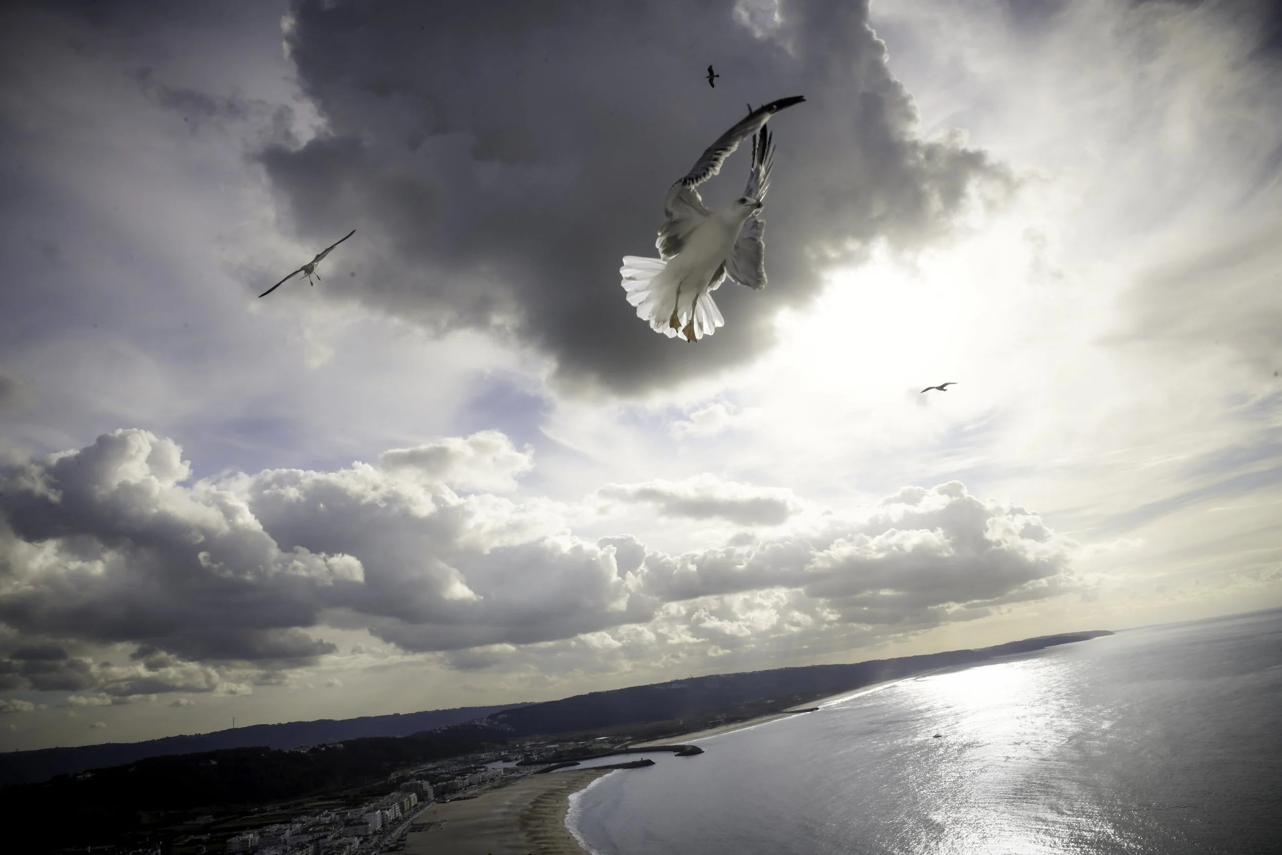 nazare