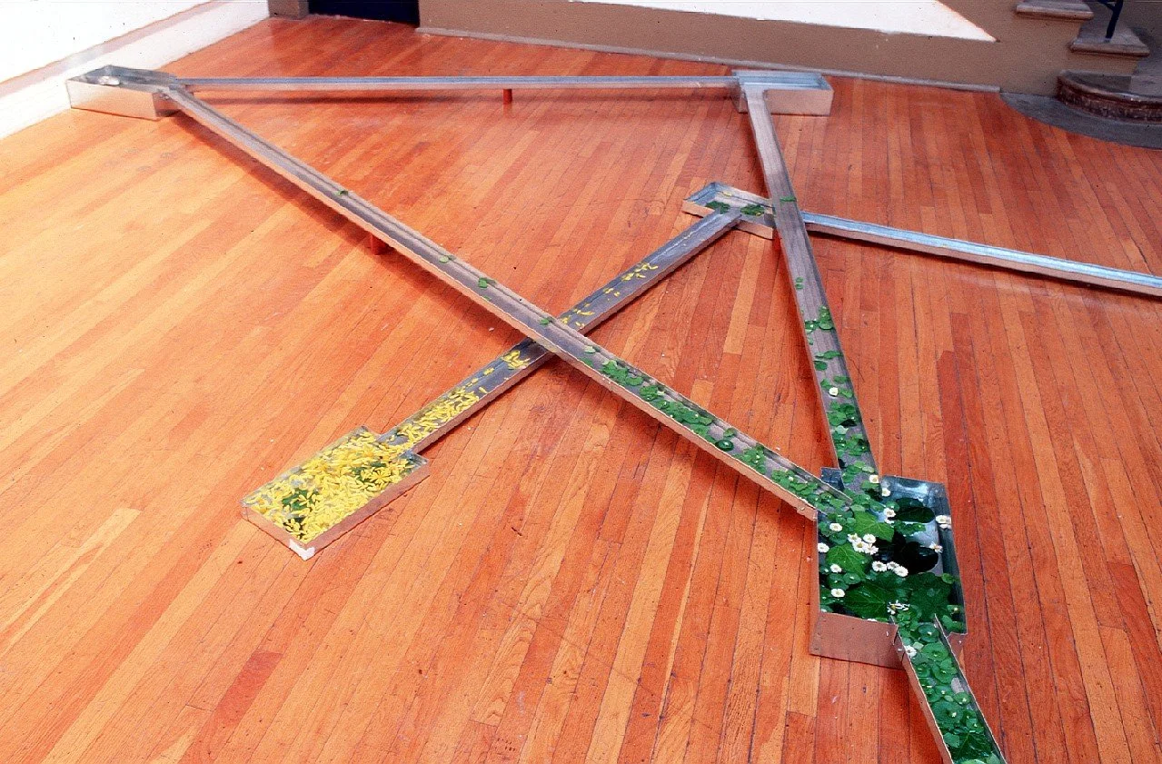 彭弘智/遷移/Hung-Chih Peng/migration