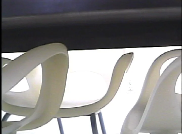 彭弘智 Hung-Chih Peng / 收藏家之犬 Collector's Dog