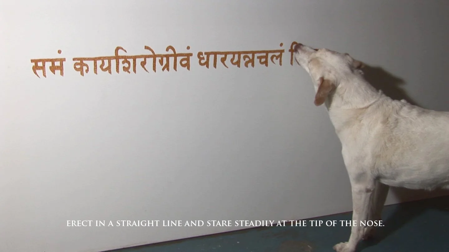 彭弘智 Hung-Chih Peng / 犬僧 Canine monk / 薄伽梵歌選 Excerpts from the Bhagavad Gita