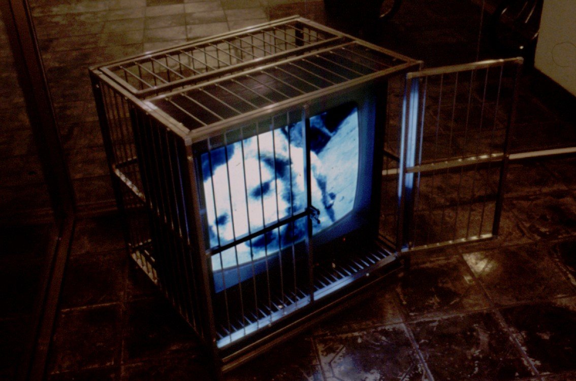 彭弘智/小白/Hung-Chih Peng/siao-pai