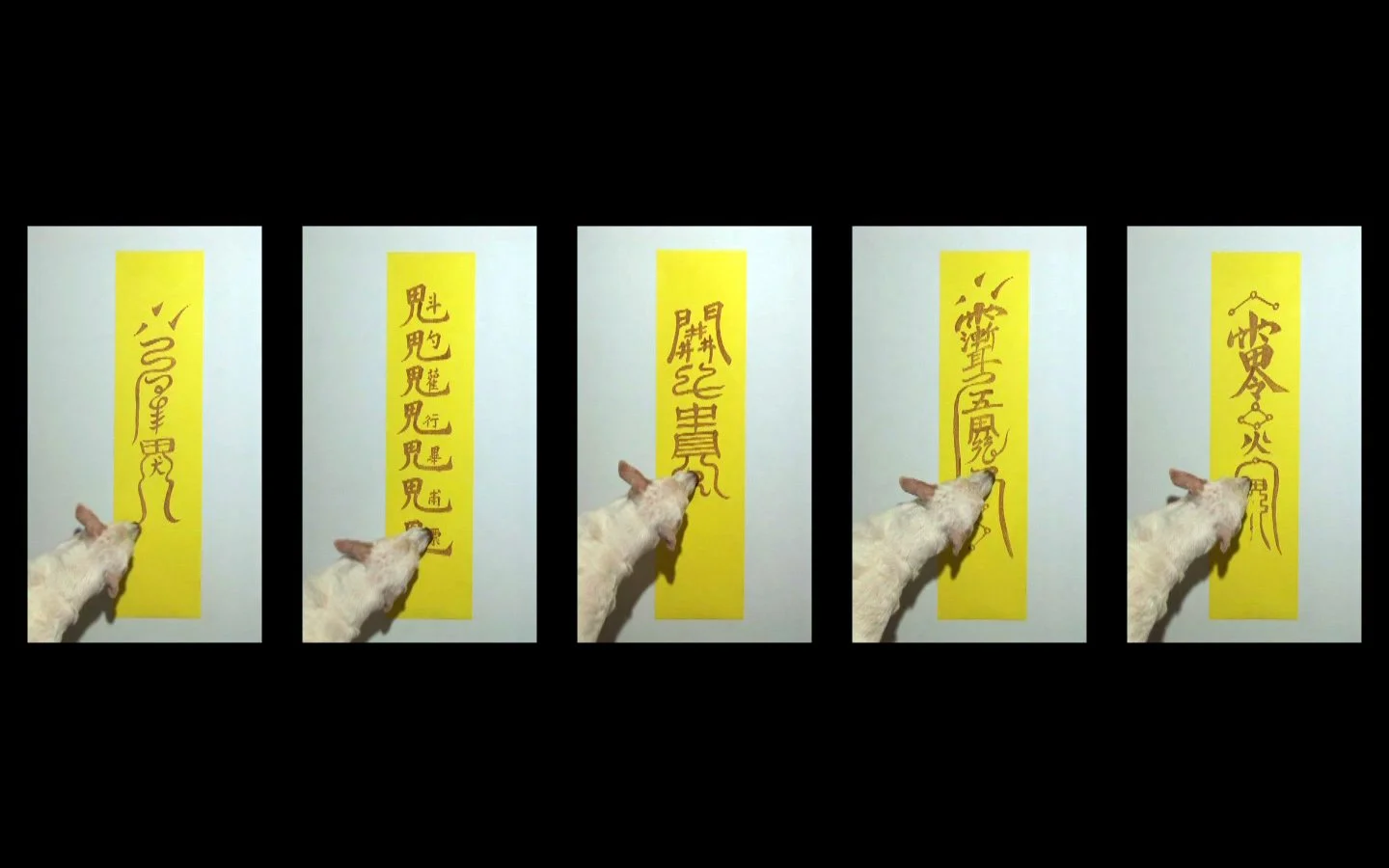 道教符籙選 Excerpts from the Taoist Protective Talisman