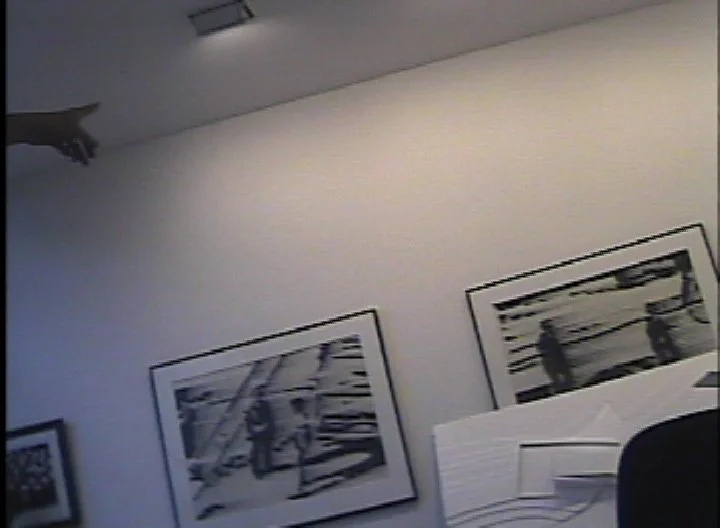 彭弘智 Hung-Chih Peng / 收藏家之犬 Collector's Dog