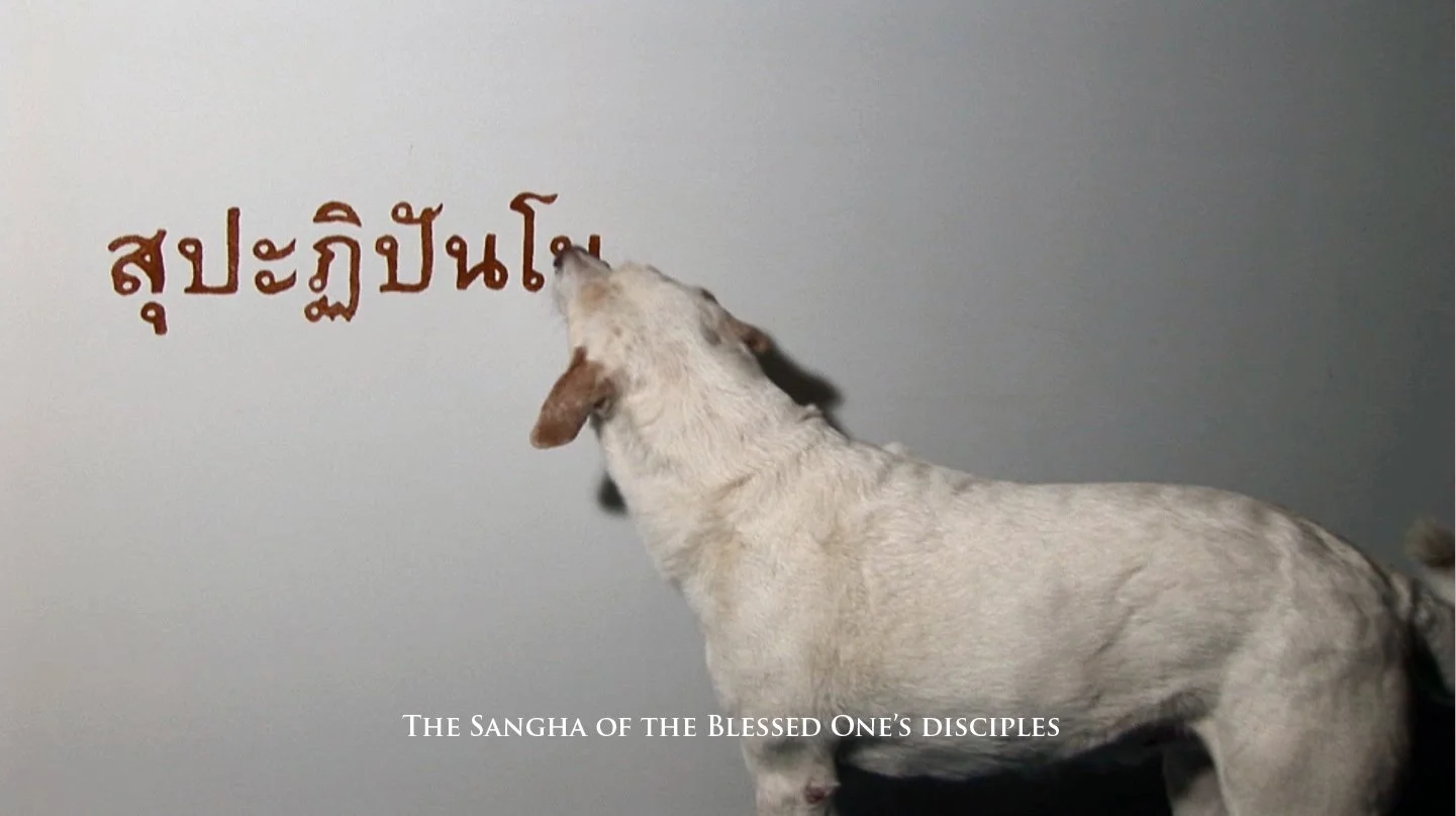 彭弘智 Hung-Chih Peng / 犬僧 Canine monk / 泰國小乘佛教誦經選 Excerpts from the Thai Theravada Prayers