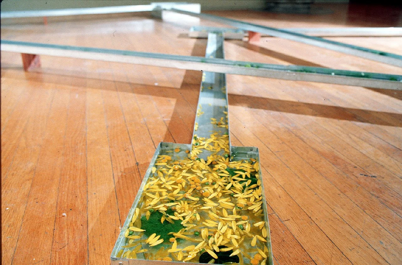 彭弘智/遷移/Hung-Chih Peng/migration