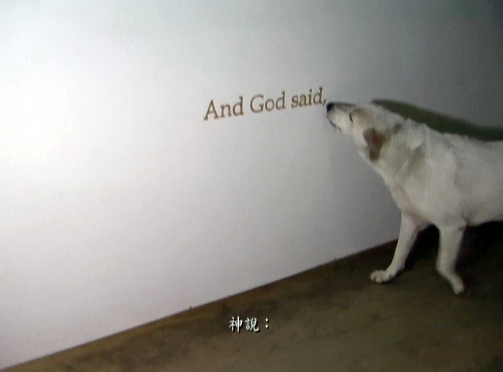 彭弘智 Hung-Chih Peng / 犬僧 Canine monk / 聖經節錄 Excerpts from the Holy Bible