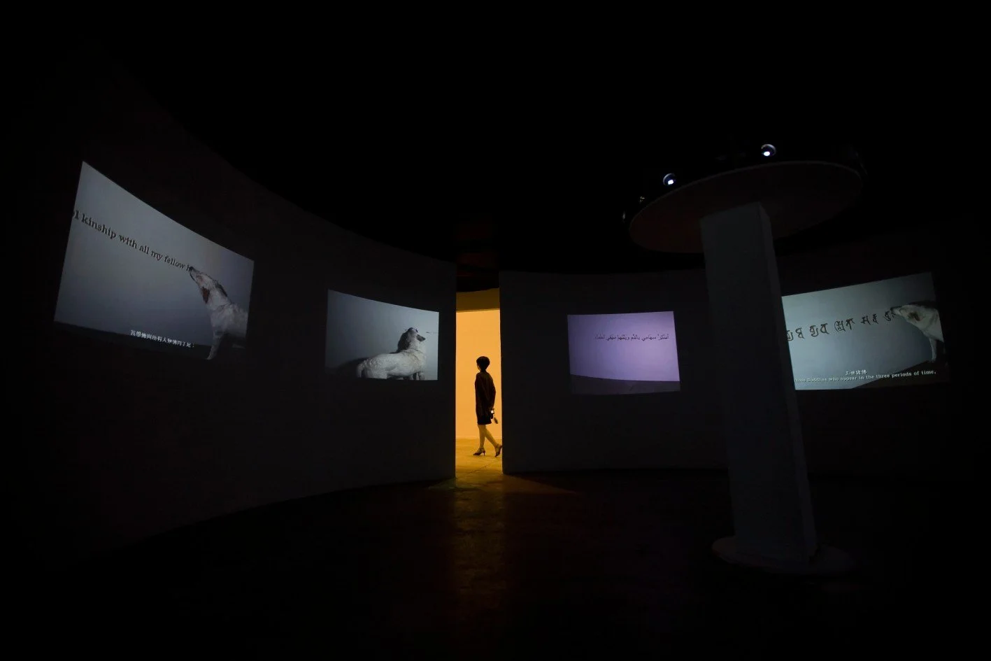 彭弘智 Hung-Chih Peng / 犬僧 Canine monk