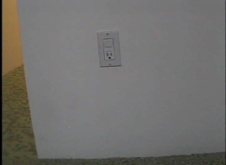 彭弘智 Hung-Chih Peng / 收藏家之犬 Collector's Dog