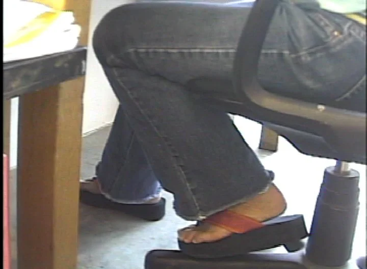 彭弘智 Hung-Chih Peng / 收藏家之犬 Collector's Dog