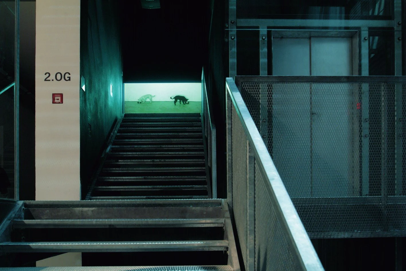 彭弘智/Hung-Chih Peng/一黑/一白/One Black / One White