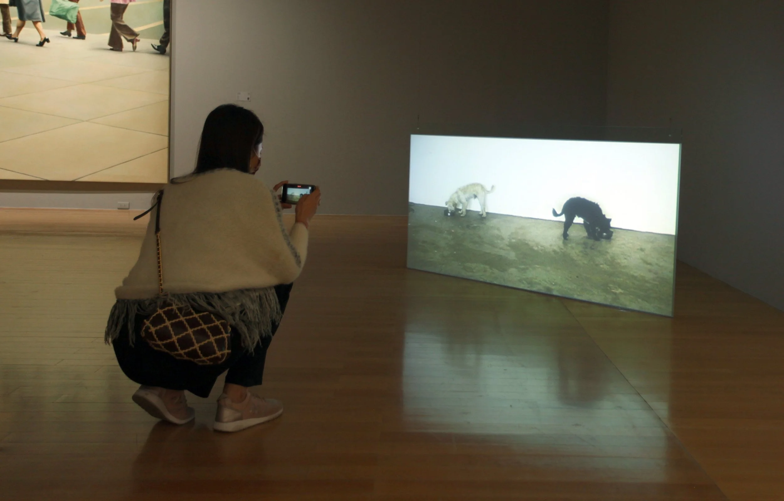 彭弘智/Hung-Chih Peng/一黑/一白/One Black / One White