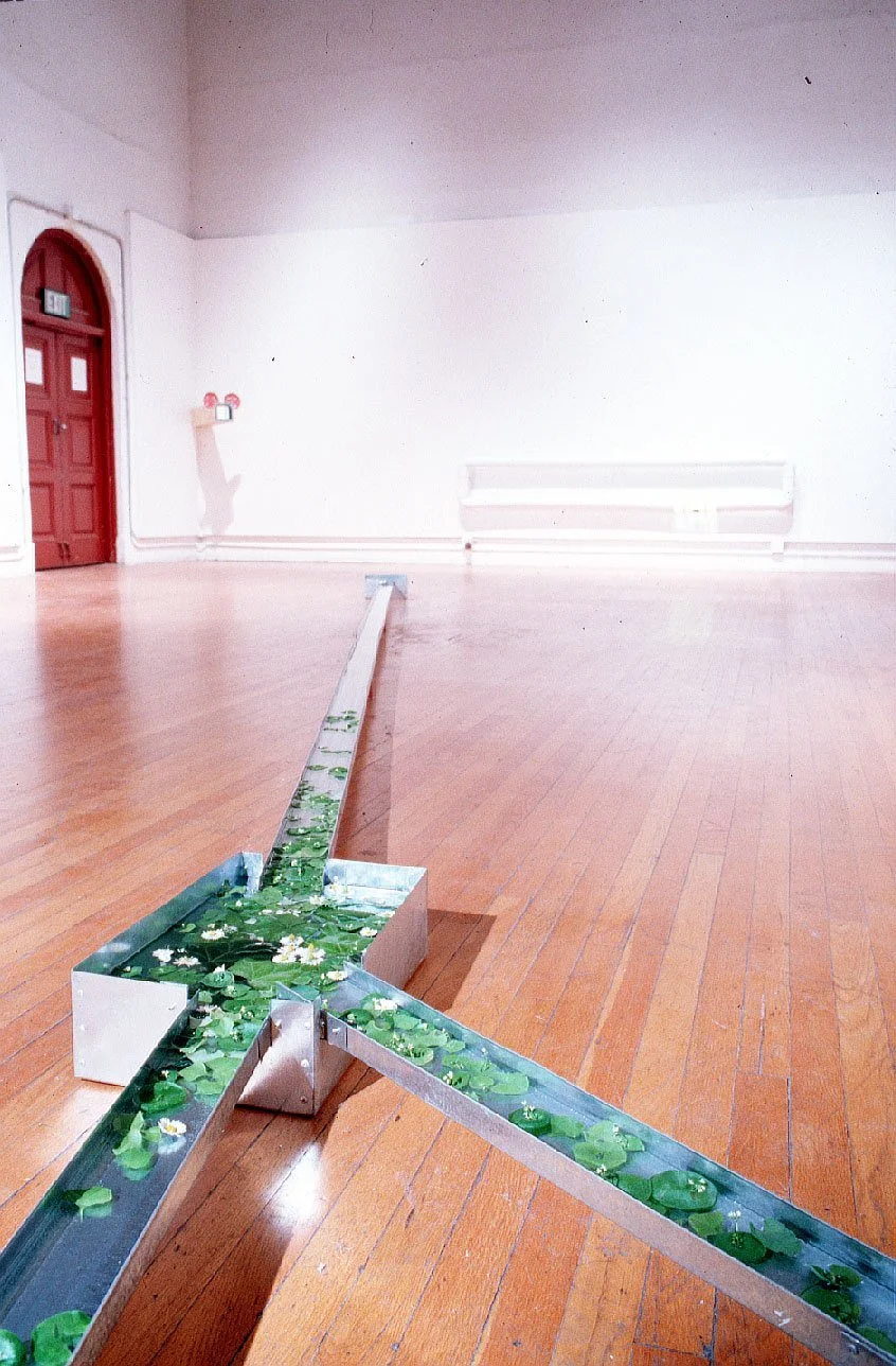 彭弘智/遷移/Hung-Chih Peng/migration