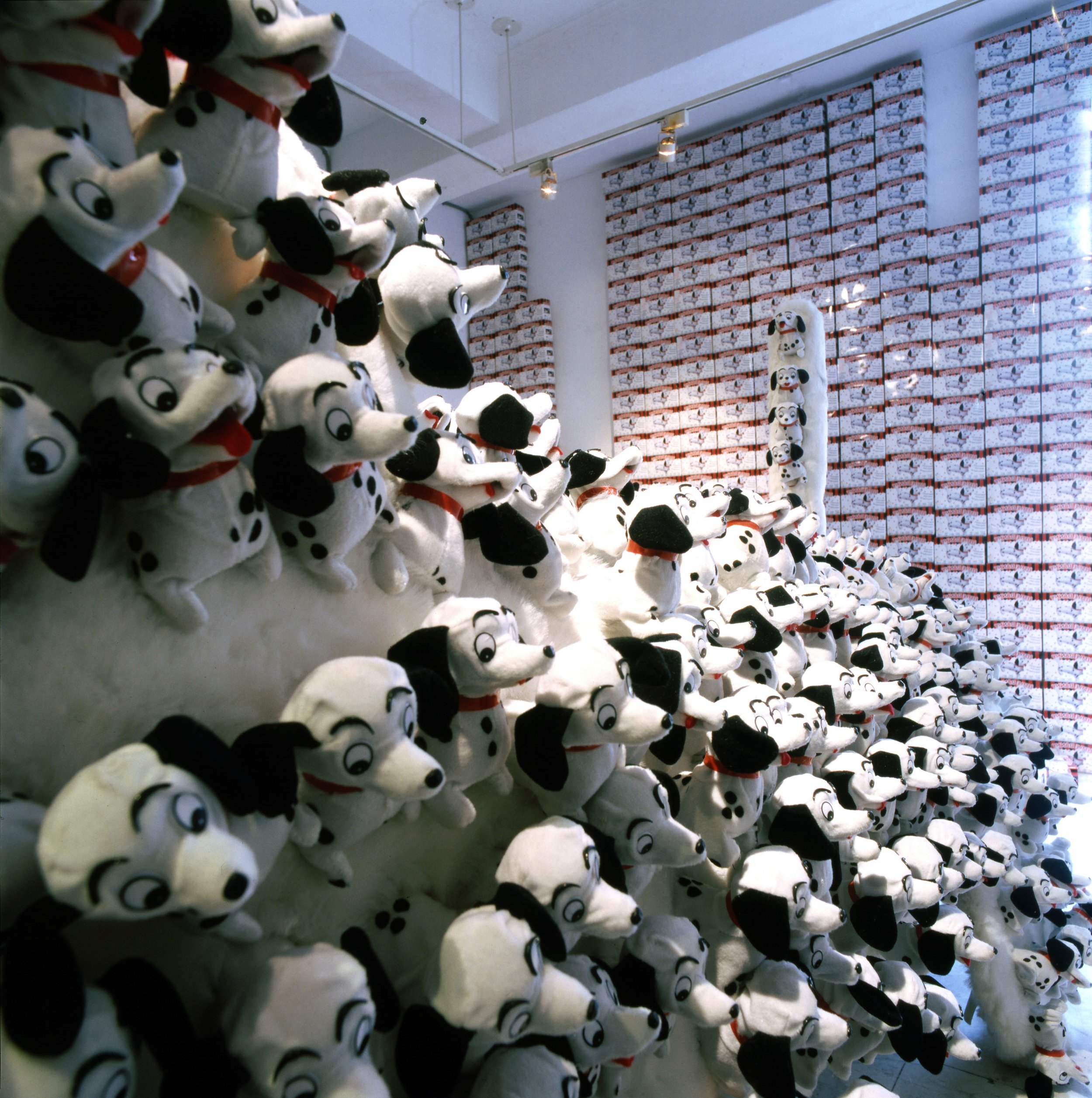 彭弘智/小丹尼/Hung-Chih Peng/Little Danny