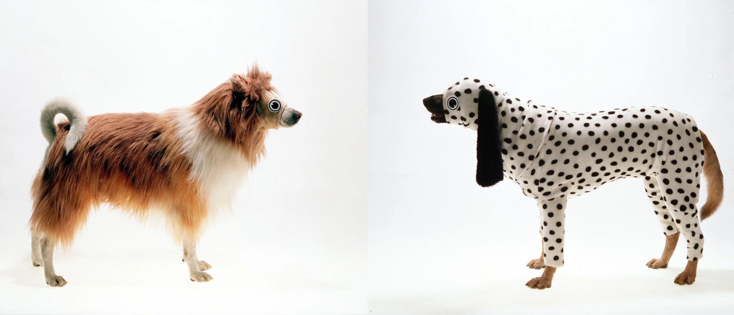 一隻大麥丁/一隻靈犬萊西 One Dalmatian" & "One Lassie