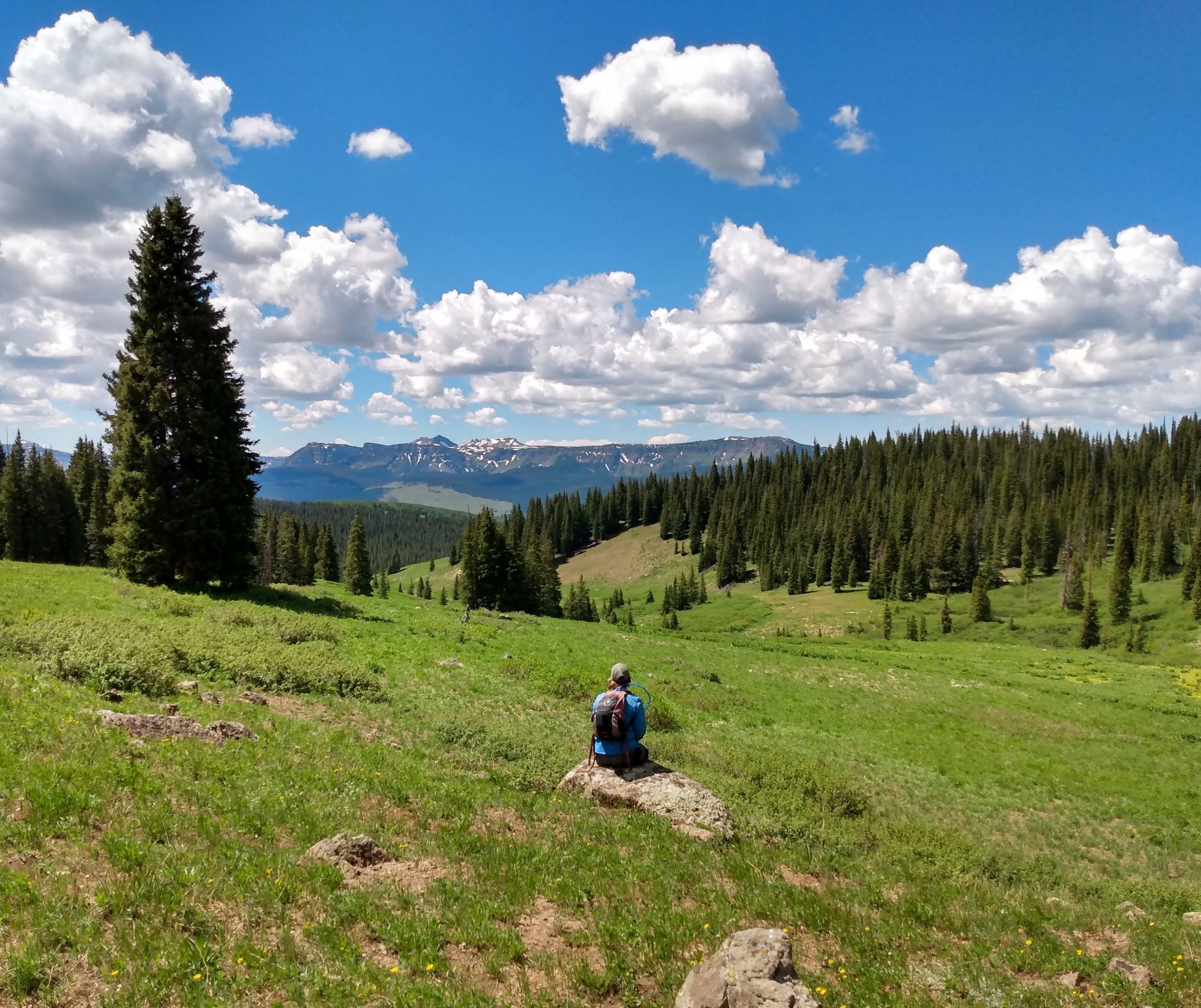 Ask an Editor - Free 30 Minute Call